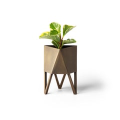 Deca Planter in Antique Brass, Medium, by Force/Collide, 2023
