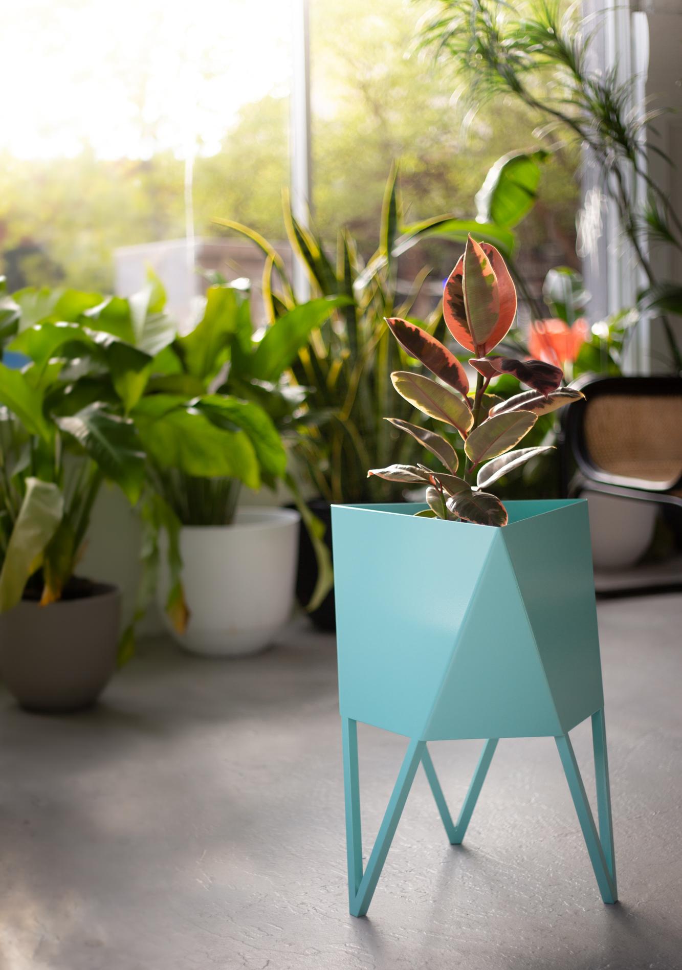 Force/Collide's award-winning signature planter is an ongoing production available in multiple colors and sizes. This original design is a nod to playful perspectives and spatial relationships. Proportions are thoughtful in aesthetic while