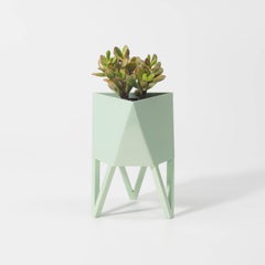 Small Deca Planter in Mint by Force/Collide, 2020