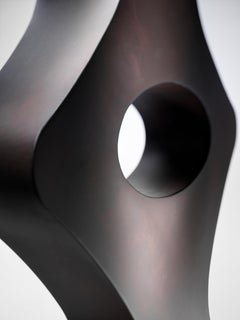 DeCastelli DC098 Tristan & Isotte Sculpture in Stainless Steel by Stefano Dussin