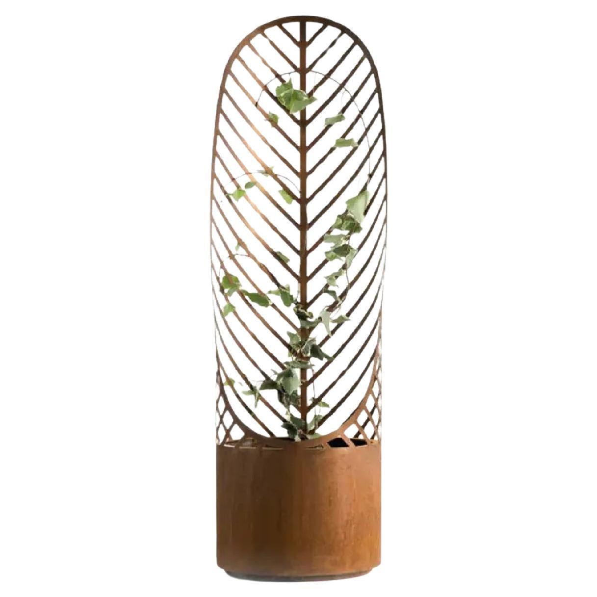 DeCastelli Screen-Pot 1 Planter in Corten Waxed by Francois Clerc For Sale