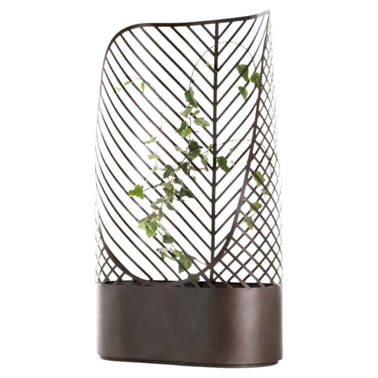 DeCastelli Screen-Pot 2 Planter in Bronzed Stainless Steel by Francois Clerc For Sale