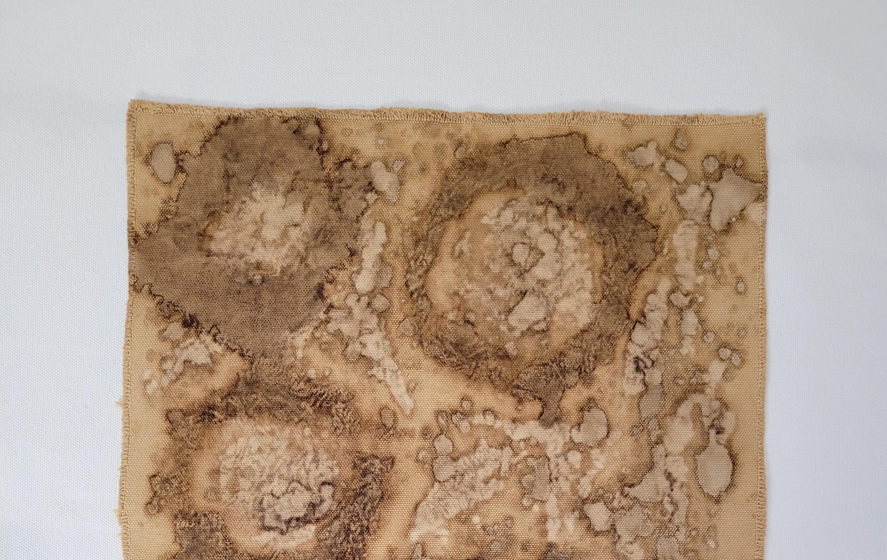 Moderno DECAY (14) - Arte botanica a tinte vegetali su tela di cotone in vendita