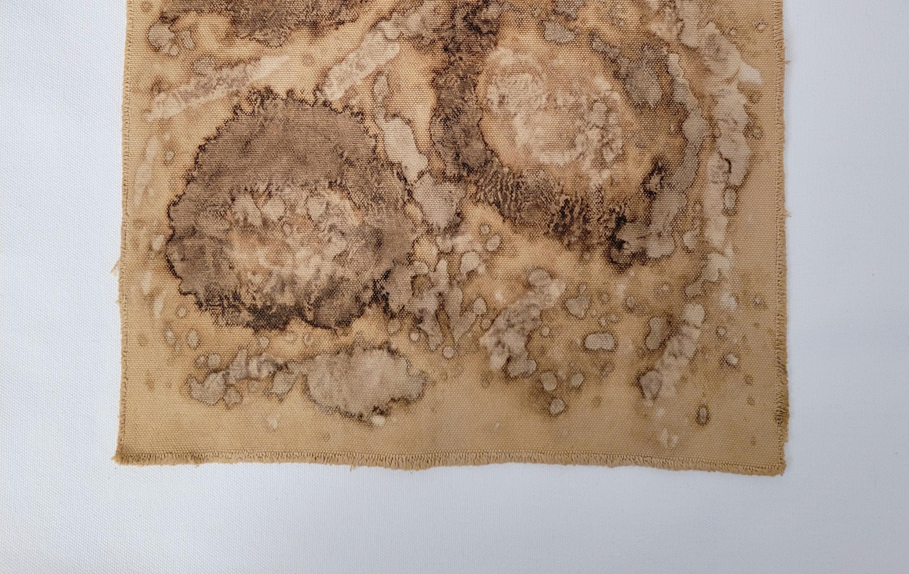 Turco DECAY (14) - Arte botanica a tinte vegetali su tela di cotone in vendita