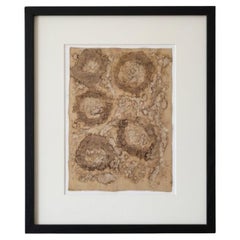 DECAY (14) – Plant-Dyed Botanical Art on Cotton Canvas