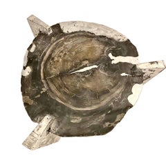 "Decay of Time" Solid Zinc and Petrified Wood Circular Coffee Table