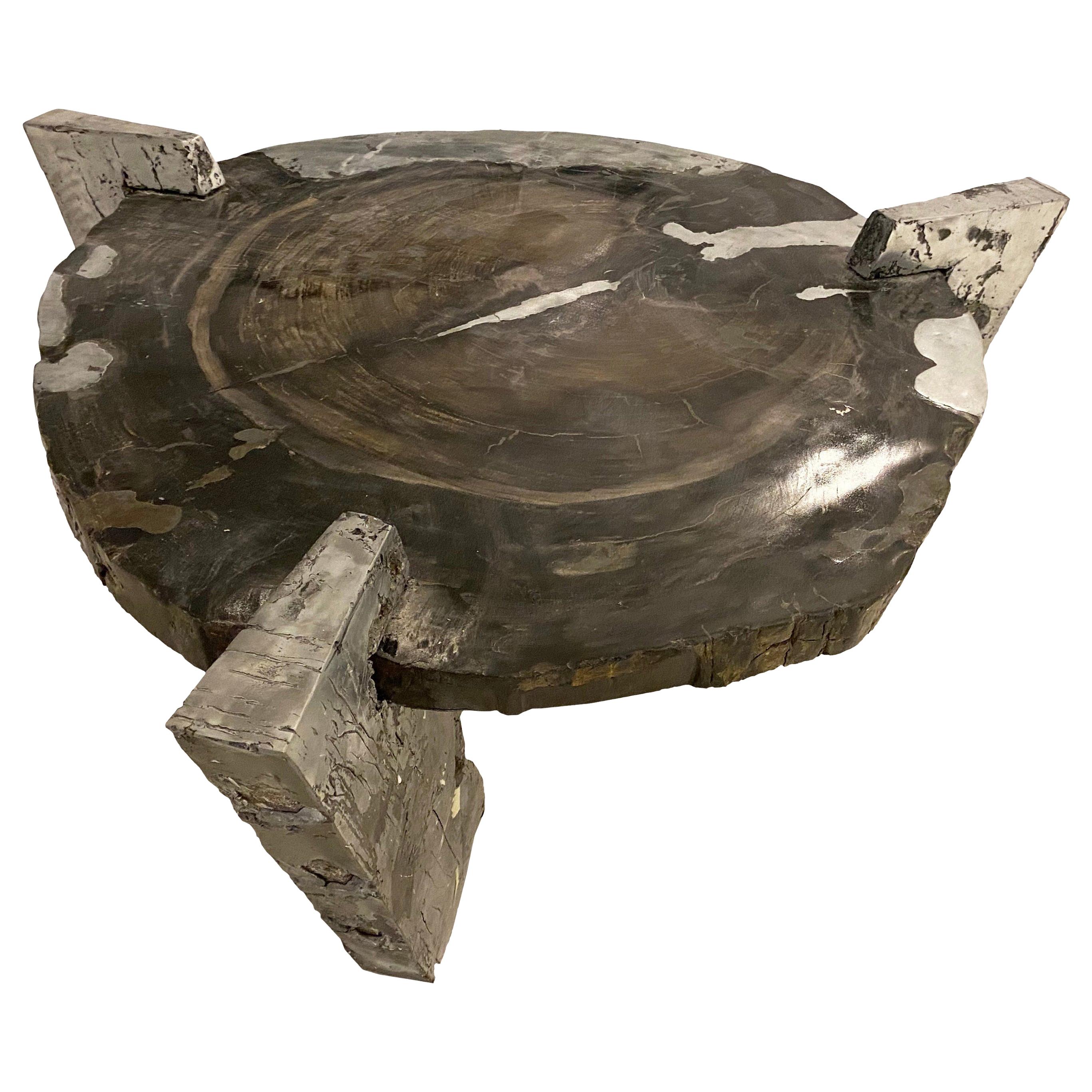 "Decay of Time" Solid Zinc and Petrified Wood Circular Coffee Table