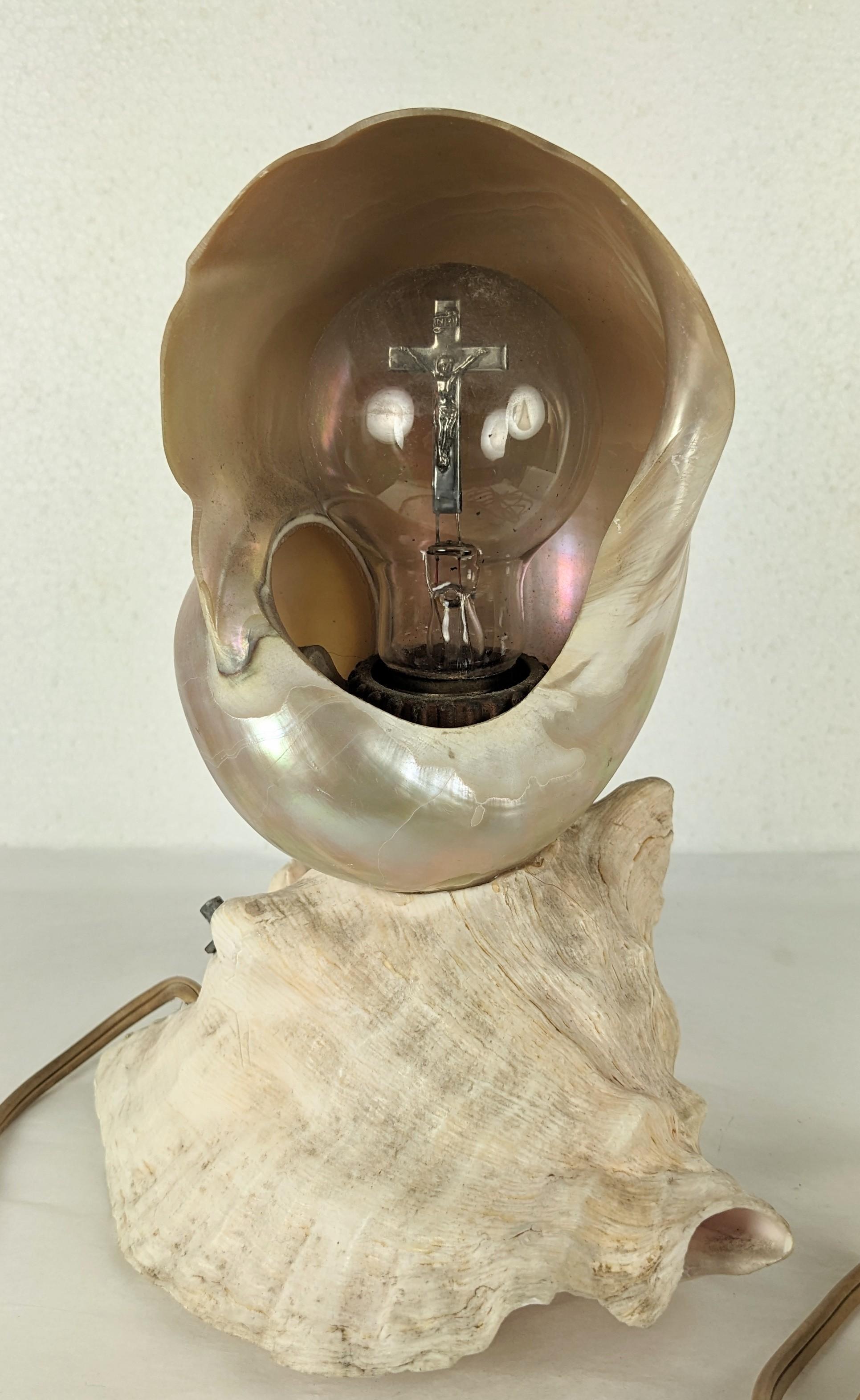 Deco Nautilus and Conch Shell Lamp For Sale 2