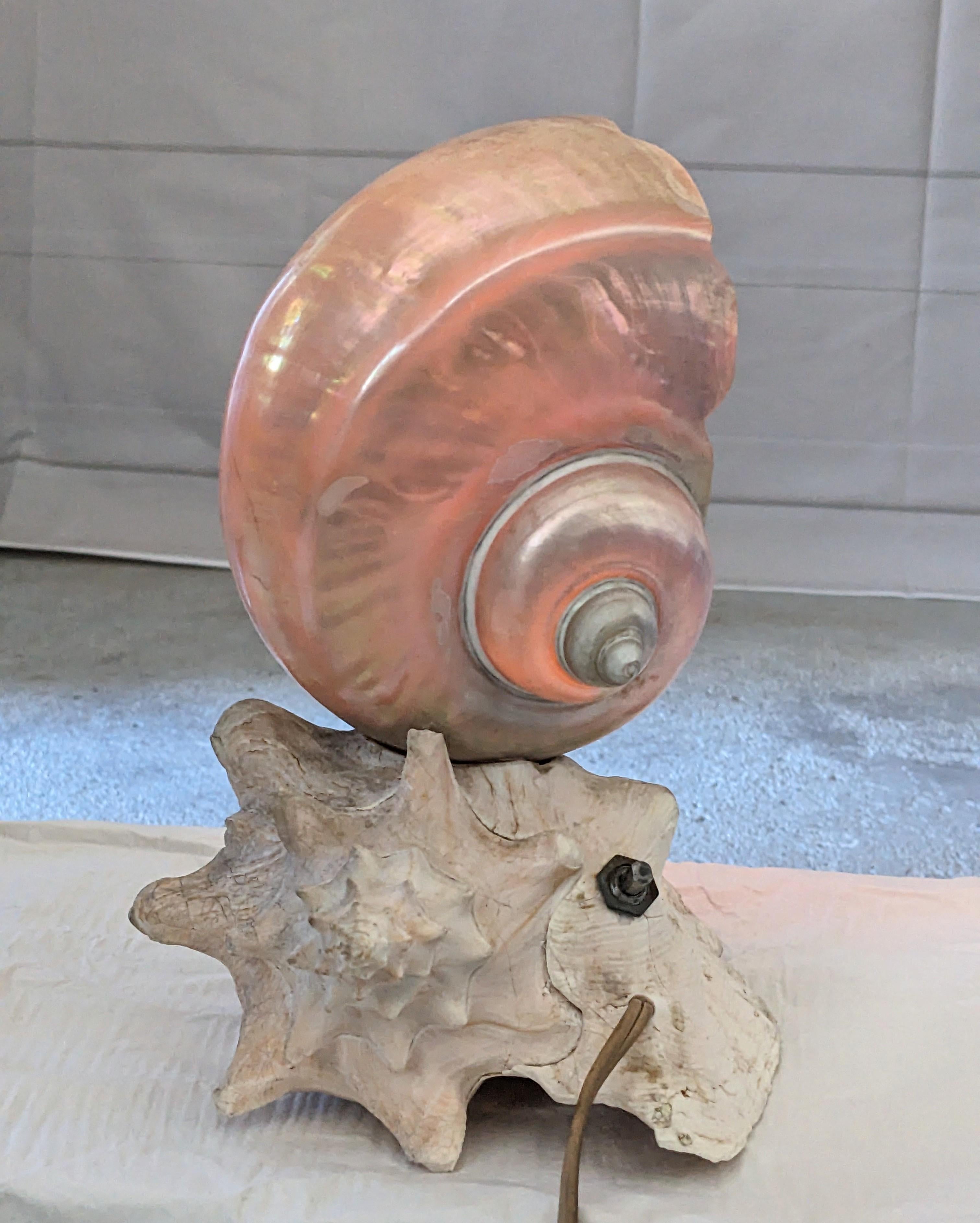 Deco Nautilus and Conch Shell Lamp For Sale 5