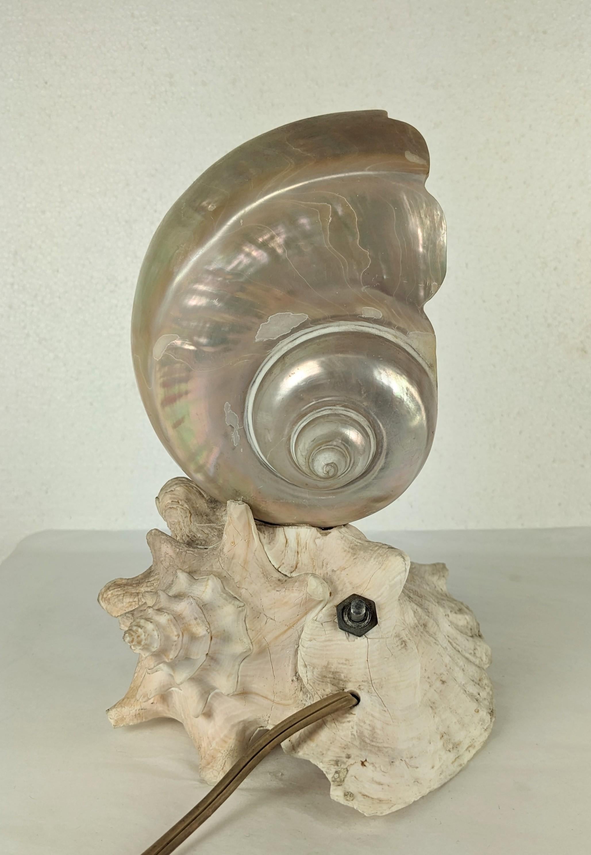 Charming Art Deco Nautilus and Conch Shell Lamp from the 1940's with original bulb. 1940's USA. 