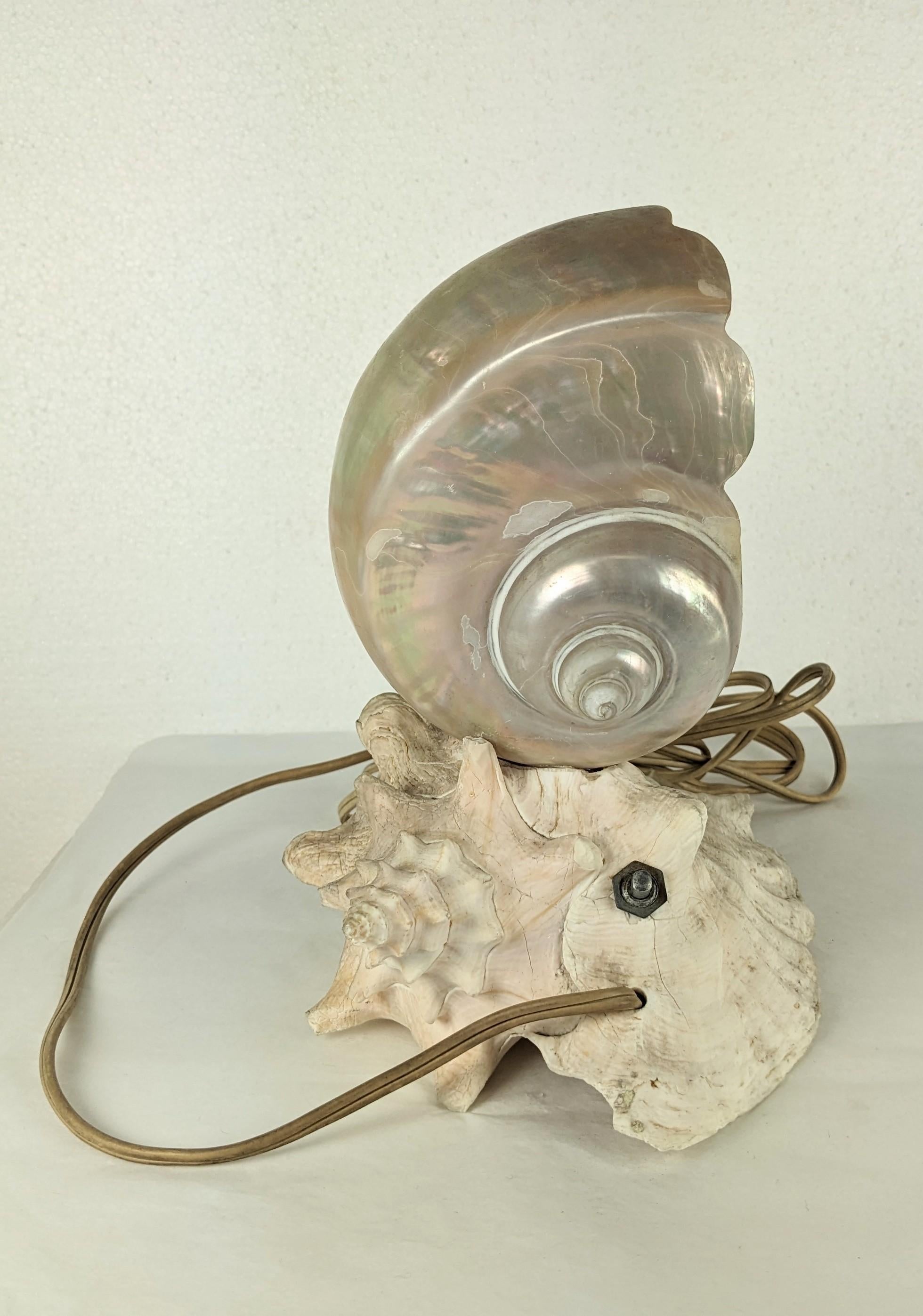 Art Deco Deco Nautilus and Conch Shell Lamp For Sale