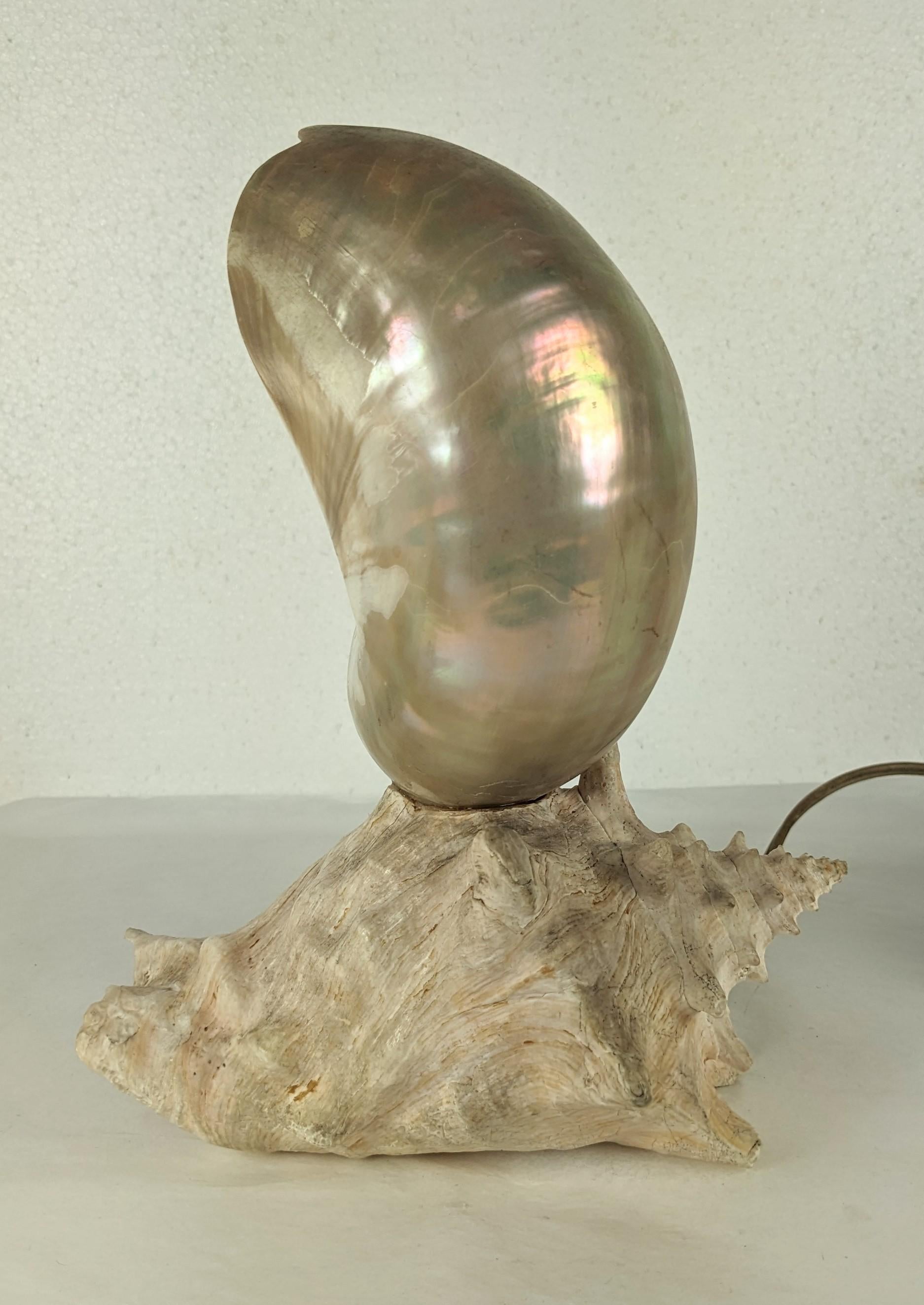 American Deco Nautilus and Conch Shell Lamp For Sale