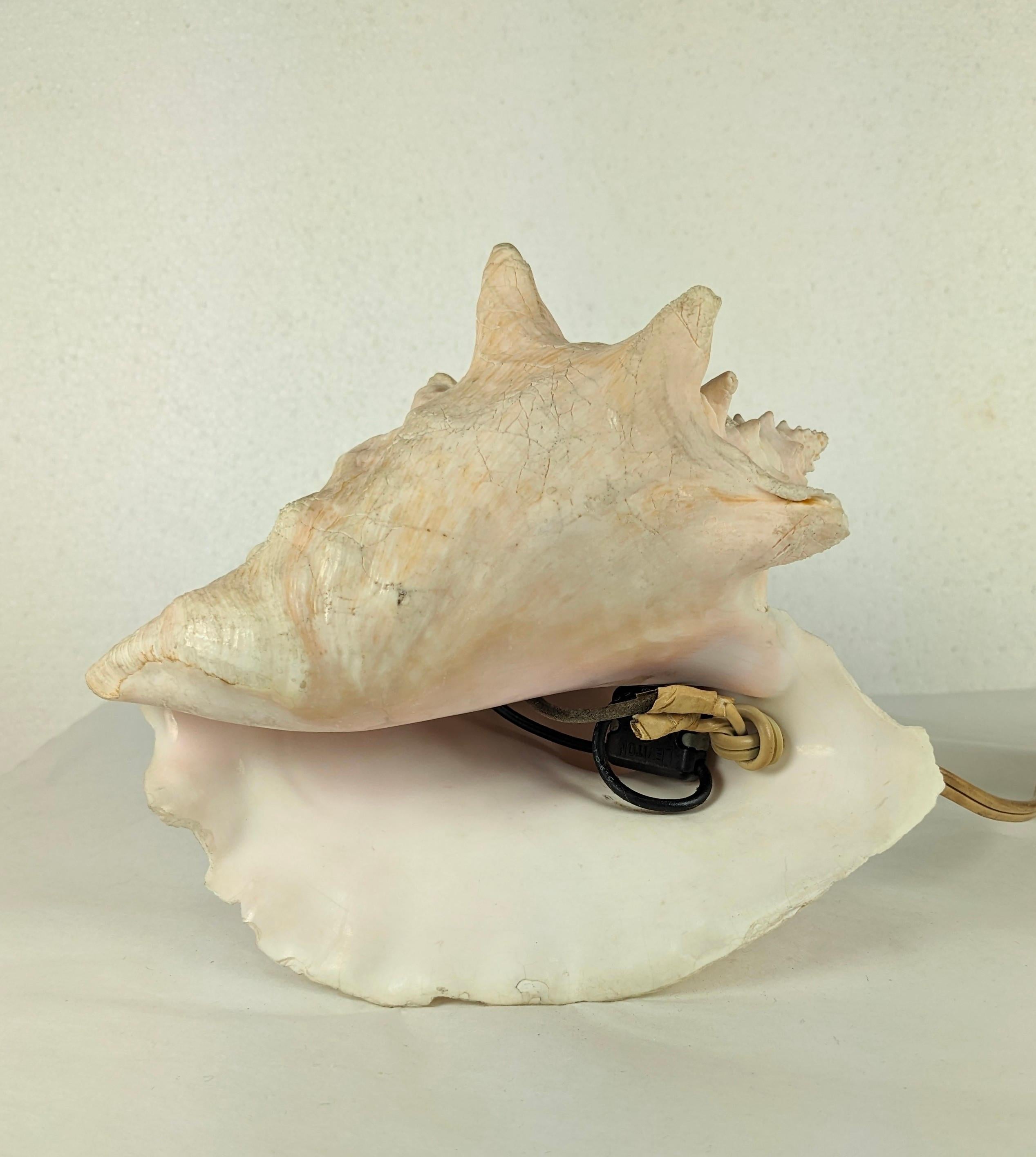 Deco Nautilus and Conch Shell Lamp In Good Condition For Sale In Riverdale, NY