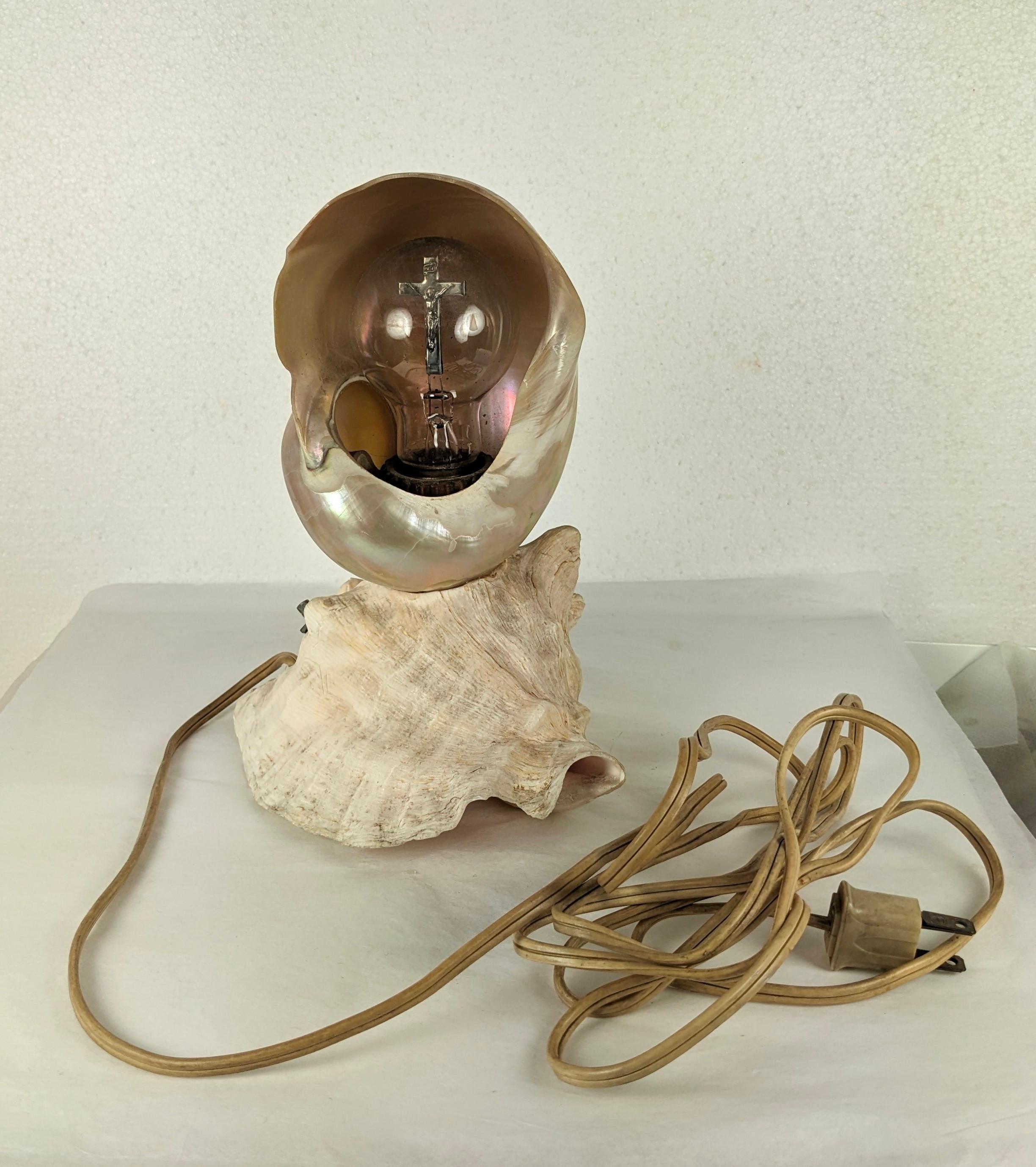 Mid-20th Century Deco Nautilus and Conch Shell Lamp For Sale