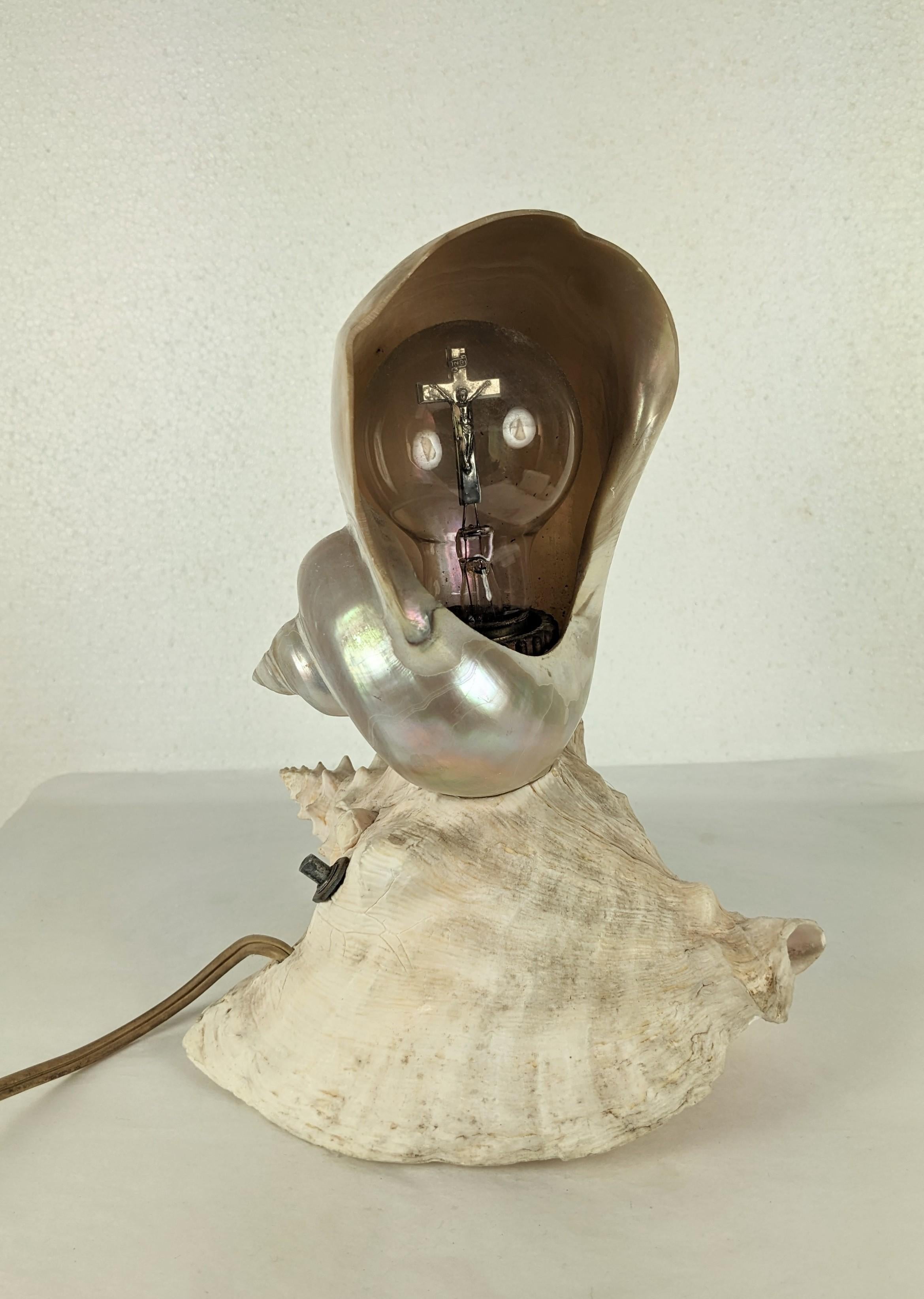 Deco Nautilus and Conch Shell Lamp For Sale 1