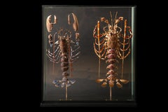 Deconstructed Lobster Pair (Homeras Gammarus) (Palinurus Elephas) Under Glass