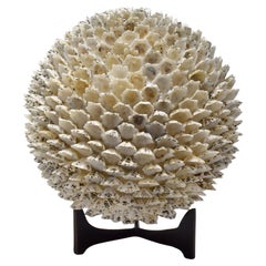 Decoratice Shell Orb