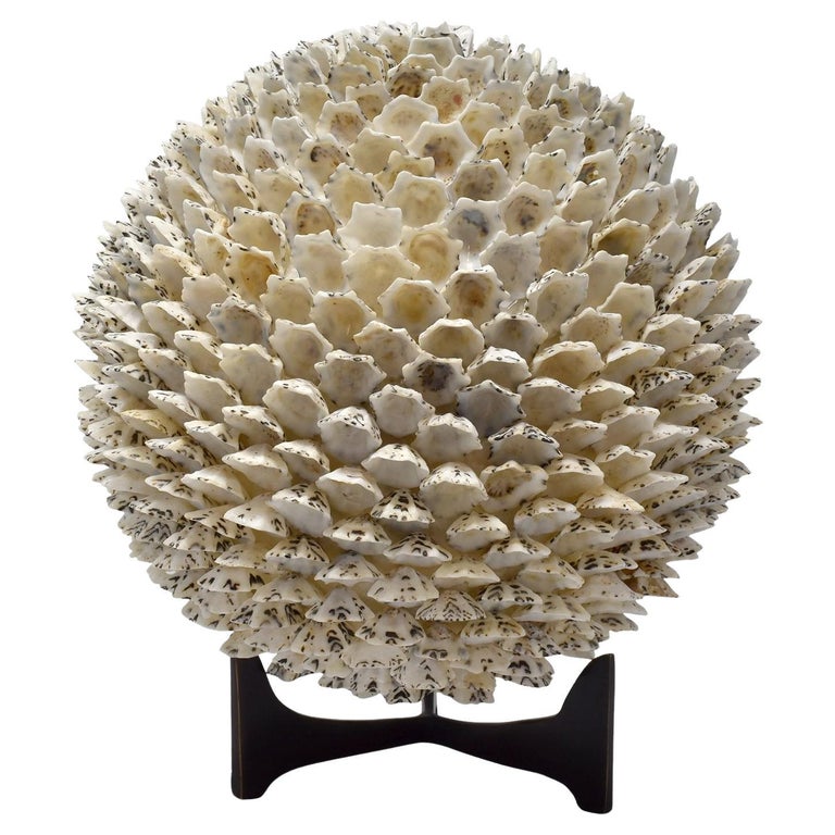Shell Orb Decoratice Shell Orb For Sale at 1stDibs