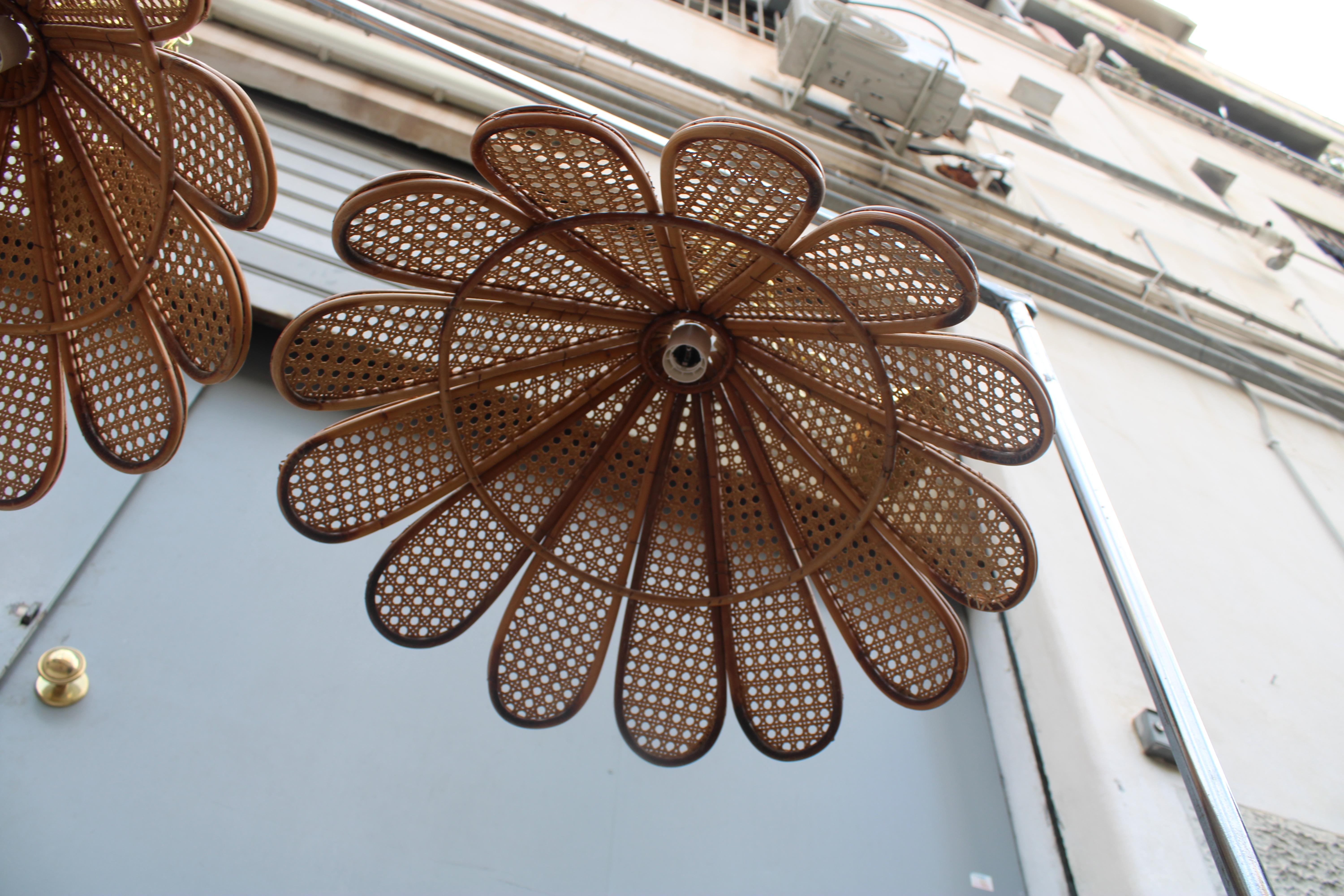 Decorative Pair of Bamboo and Brass Chandeliers Italian design 1950s For Sale 10
