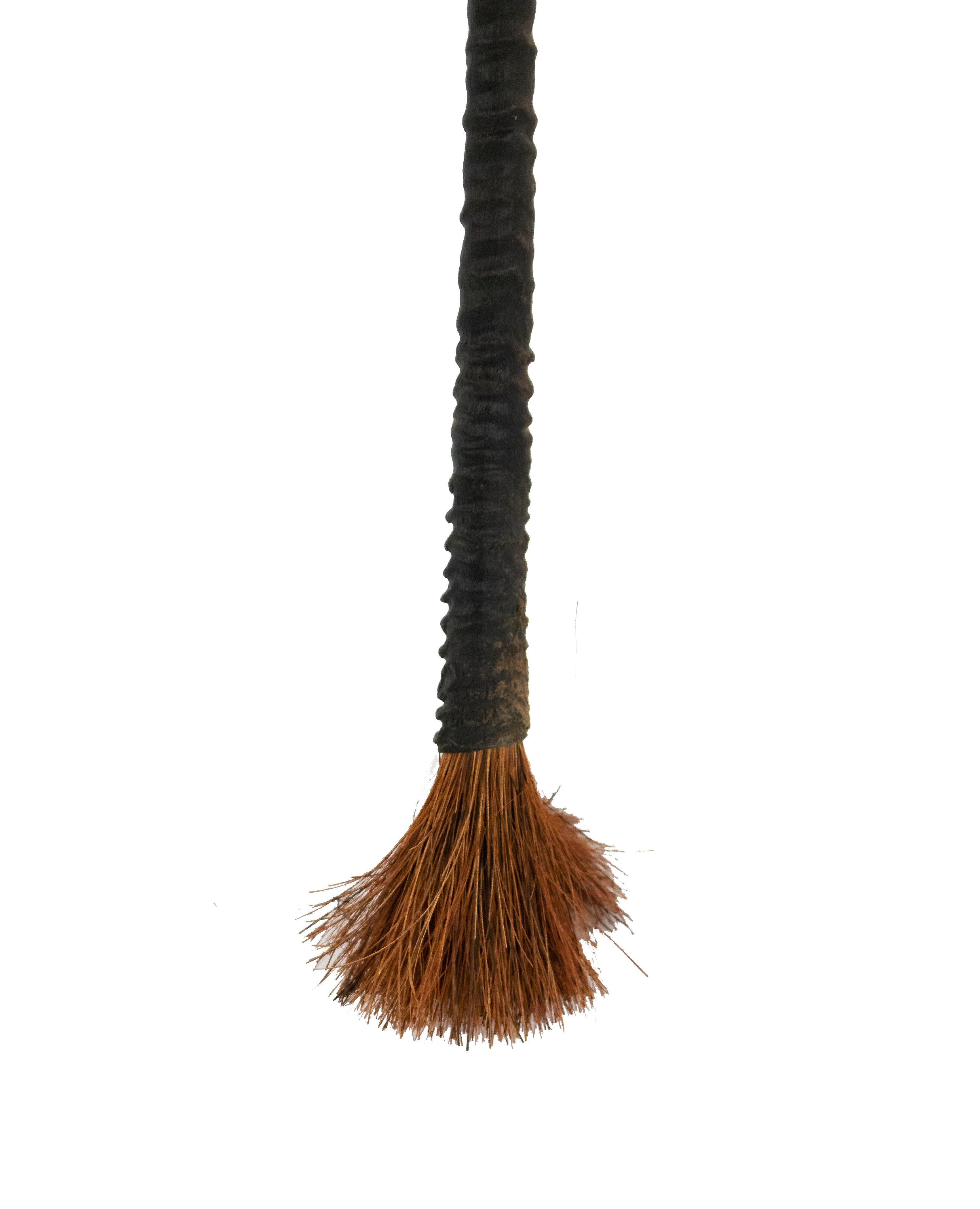 Large decorative African brush with a black antelope horn handle and thin red straw bristles.
 