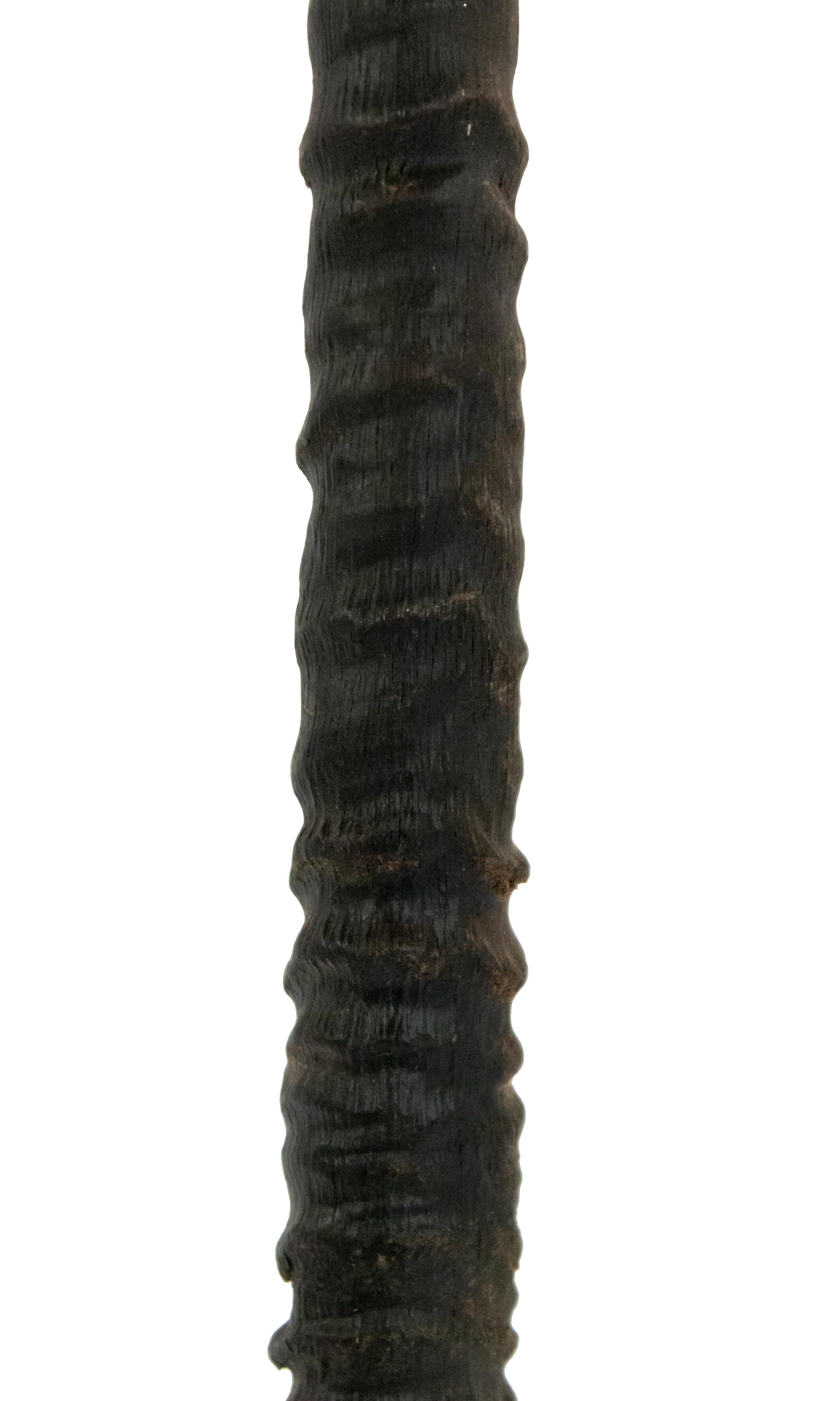African Decorative Antelope Horn Brush For Sale