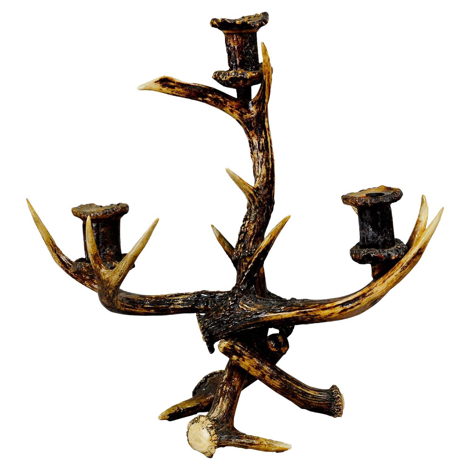 Decorative Antique Antler Candelabra with Three Spouts, 1900 For Sale