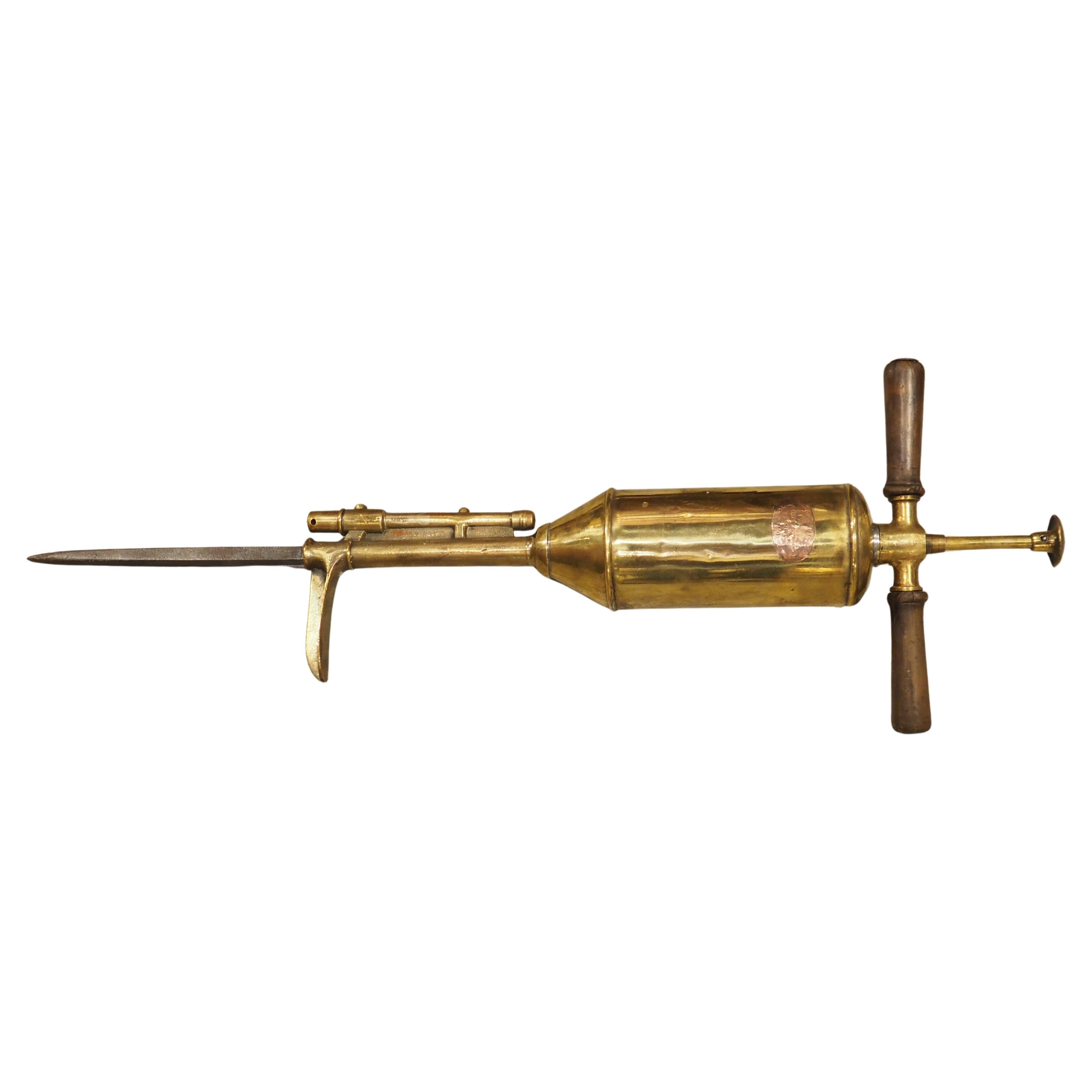 Decorative Antique French Vineyard Injector by Vermorel, Circa 1880
