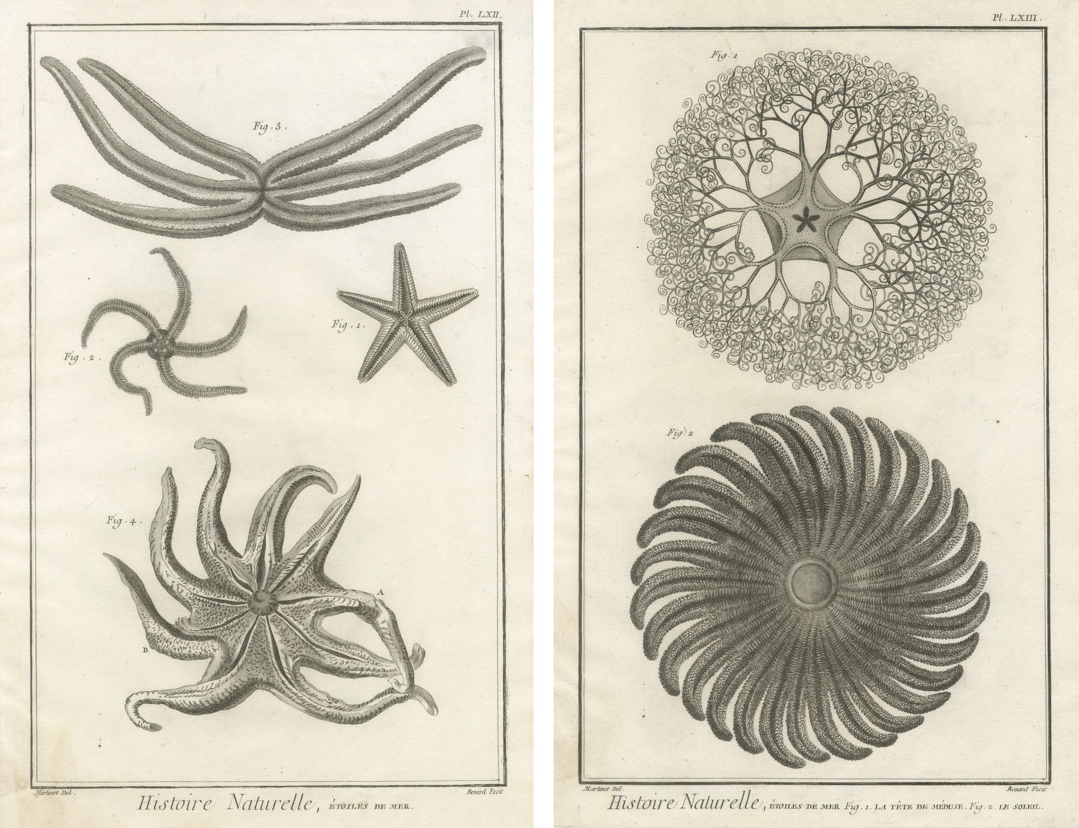 Pair of Antique Engravings of Starfish and Marine Echinoderms from Diderot’s Encyclopédie, ca. 1770

A fine pair of copperplate engravings from Denis Diderot and Jean le Rond d’Alembert’s Encyclopédie ou Dictionnaire raisonné des sciences, des arts