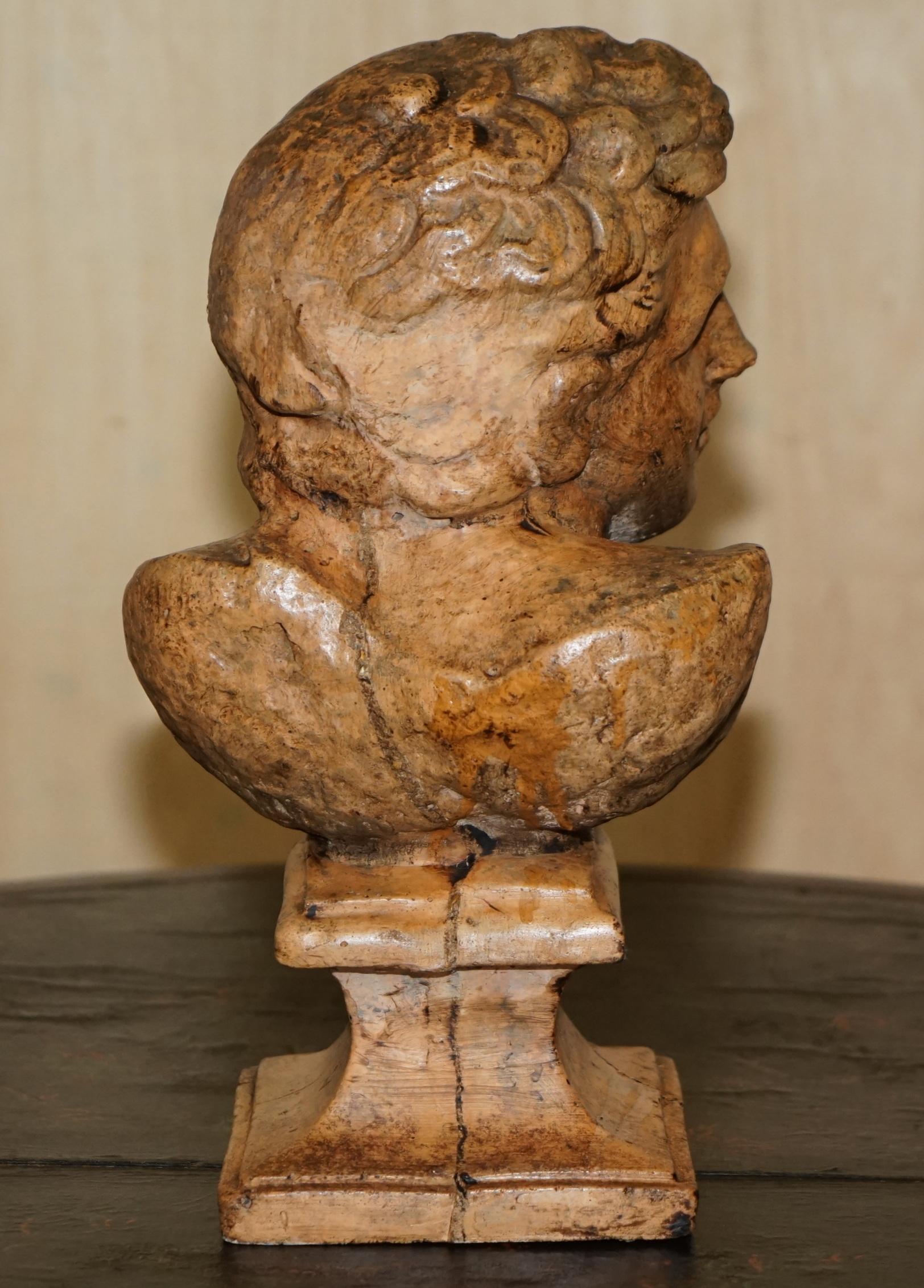DECORATIVE ANTIQUE WEATHERED CiRCA 1900 TERRACOTTA CLASSICAL BUST OF HERCULES For Sale 2