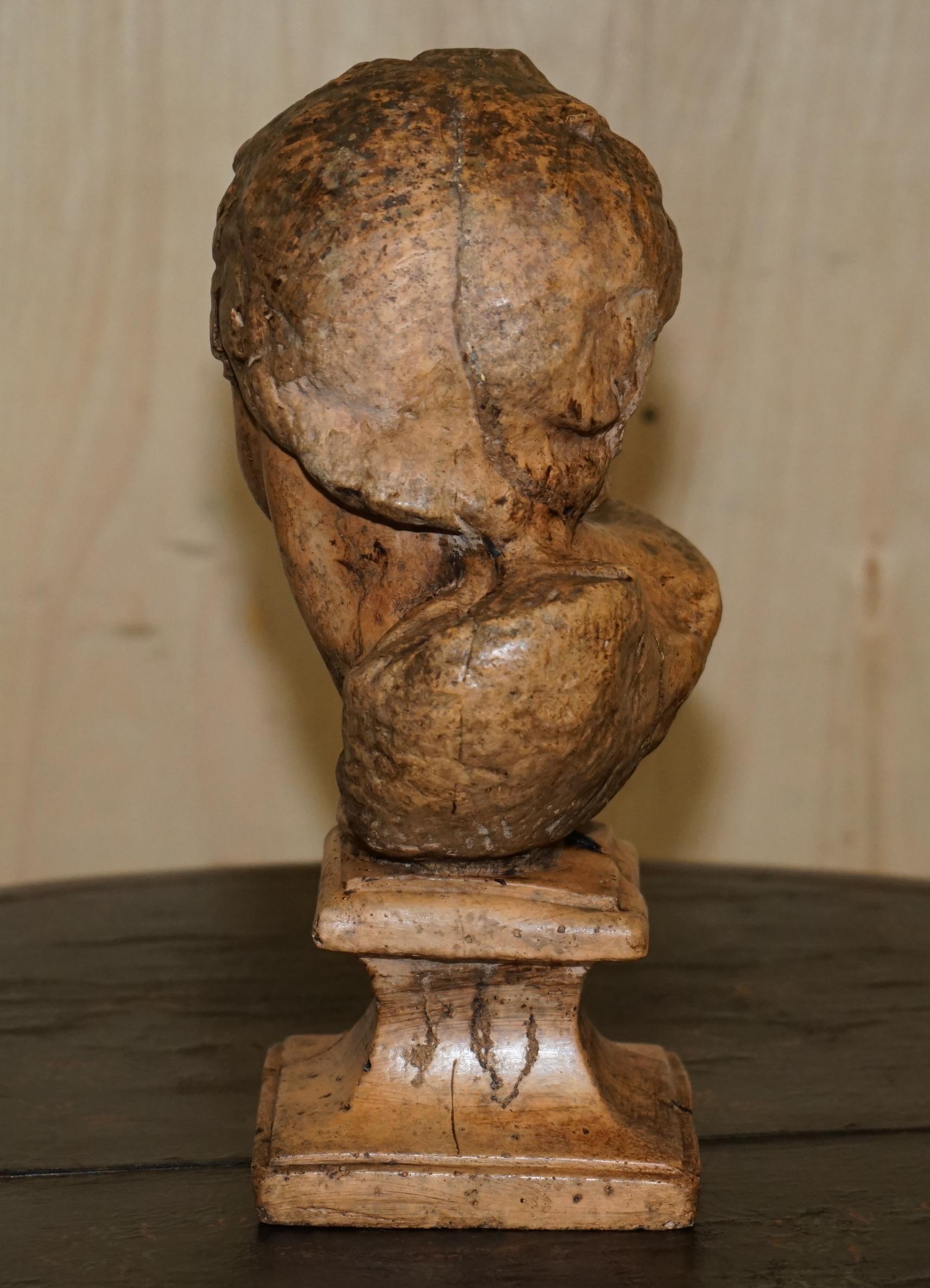 DECORATIVE ANTIQUE WEATHERED CiRCA 1900 TERRACOTTA CLASSICAL BUST OF HERCULES For Sale 5