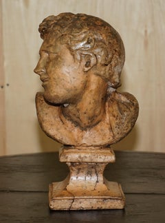 DECORATIVE ANTIQUE WEATHERED CiRCA 1900 TERRACOTTA CLASSICAL BUST OF HERCULES