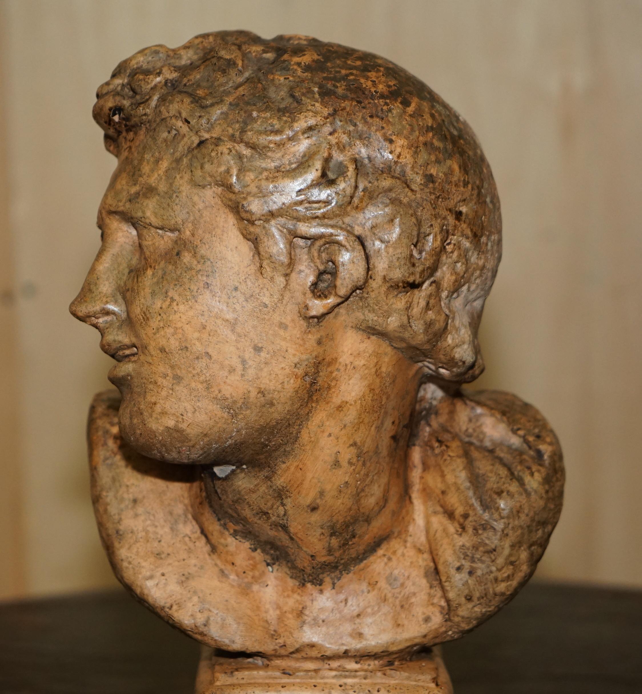 Edwardian DECORATIVE ANTIQUE WEATHERED CiRCA 1900 TERRACOTTA CLASSICAL BUST OF HERCULES For Sale