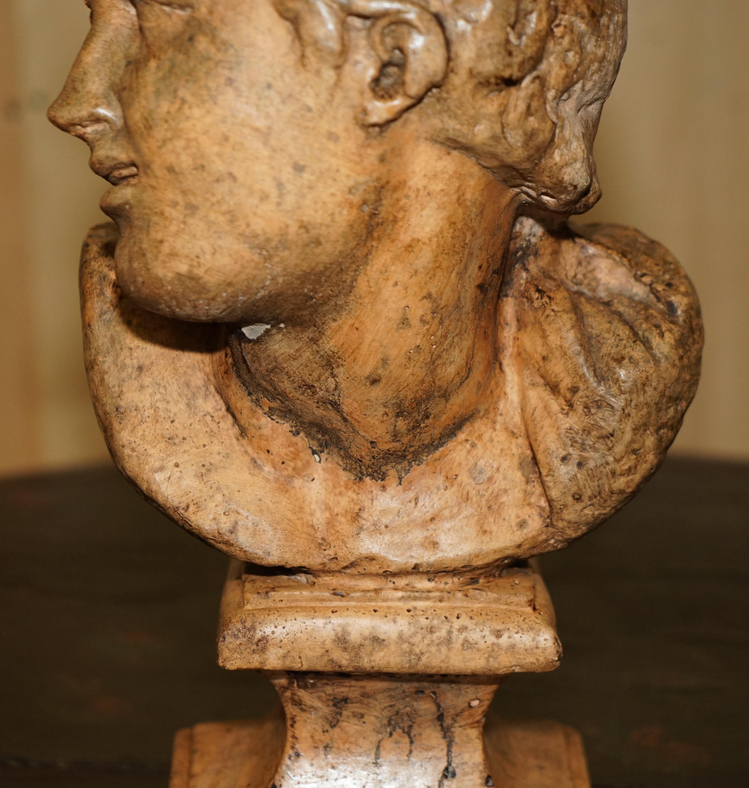 Italian DECORATIVE ANTIQUE WEATHERED CiRCA 1900 TERRACOTTA CLASSICAL BUST OF HERCULES For Sale
