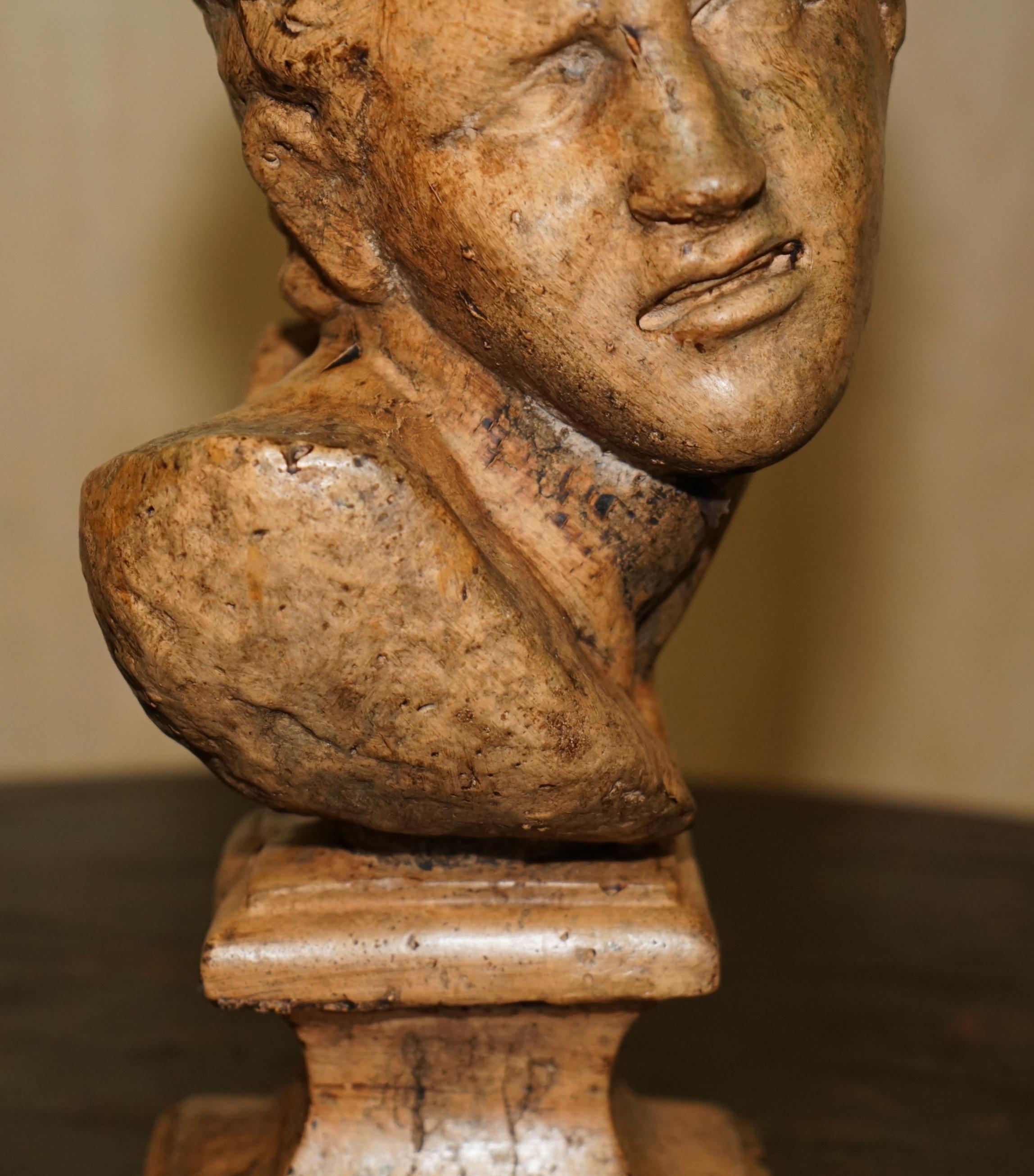 Terracotta DECORATIVE ANTIQUE WEATHERED CiRCA 1900 TERRACOTTA CLASSICAL BUST OF HERCULES For Sale