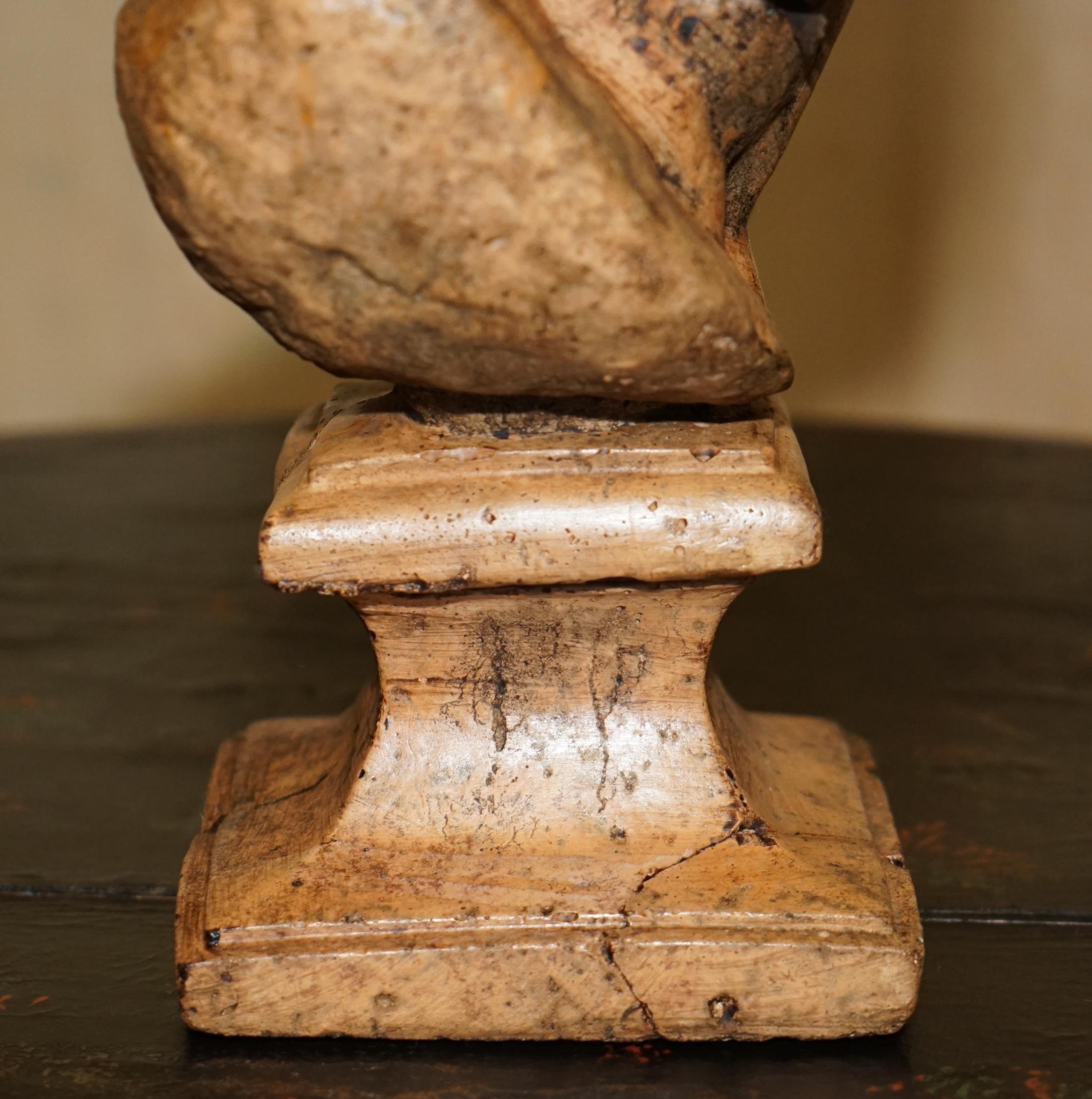 DECORATIVE ANTIQUE WEATHERED CiRCA 1900 TERRACOTTA CLASSICAL BUST OF HERCULES For Sale 1