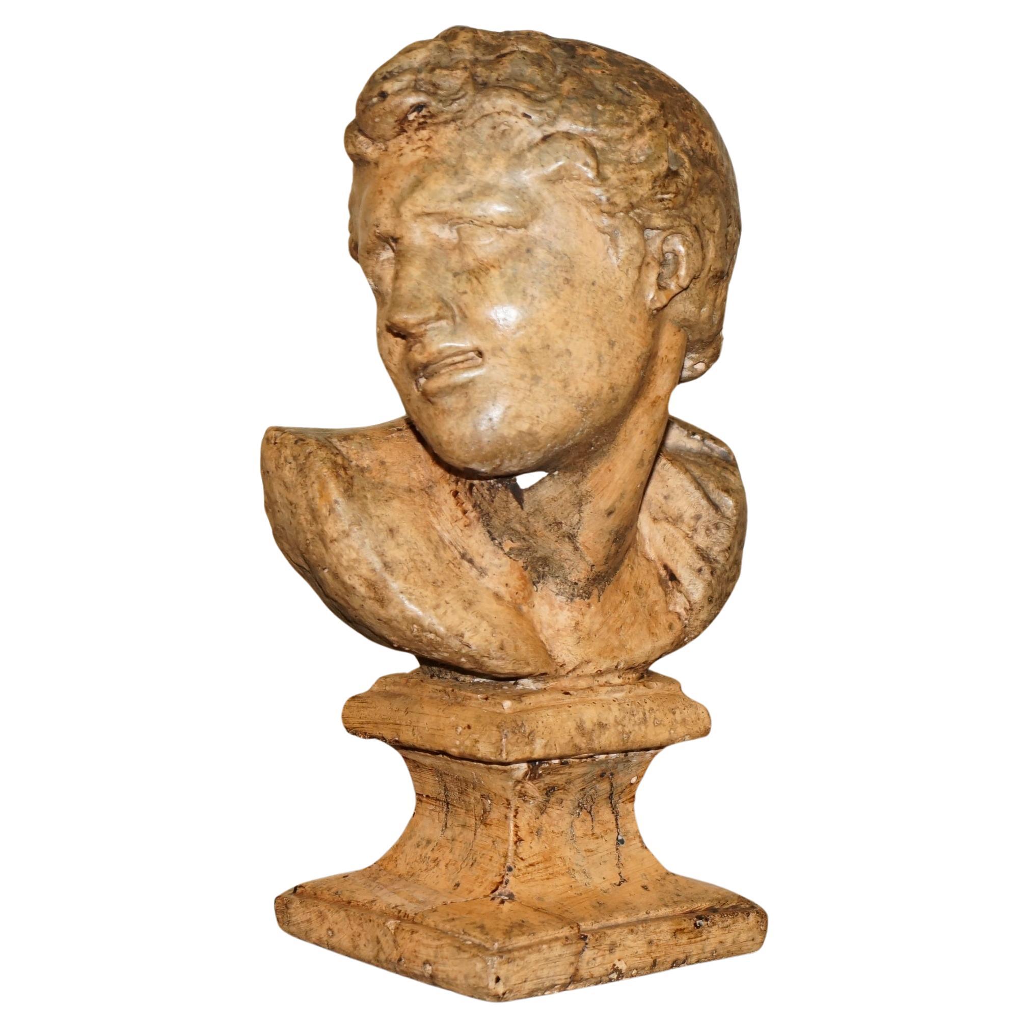 DECORATIVE ANTIQUE WEATHERED CiRCA 1900 TERRACOTTA CLASSICAL BUST OF HERCULES