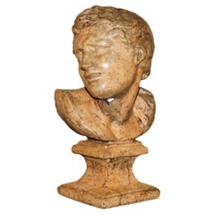 DECORATIVE ANTIQUE WEATHERED CiRCA 1900 TERRACOTTA CLASSICAL BUST OF HERCULES
