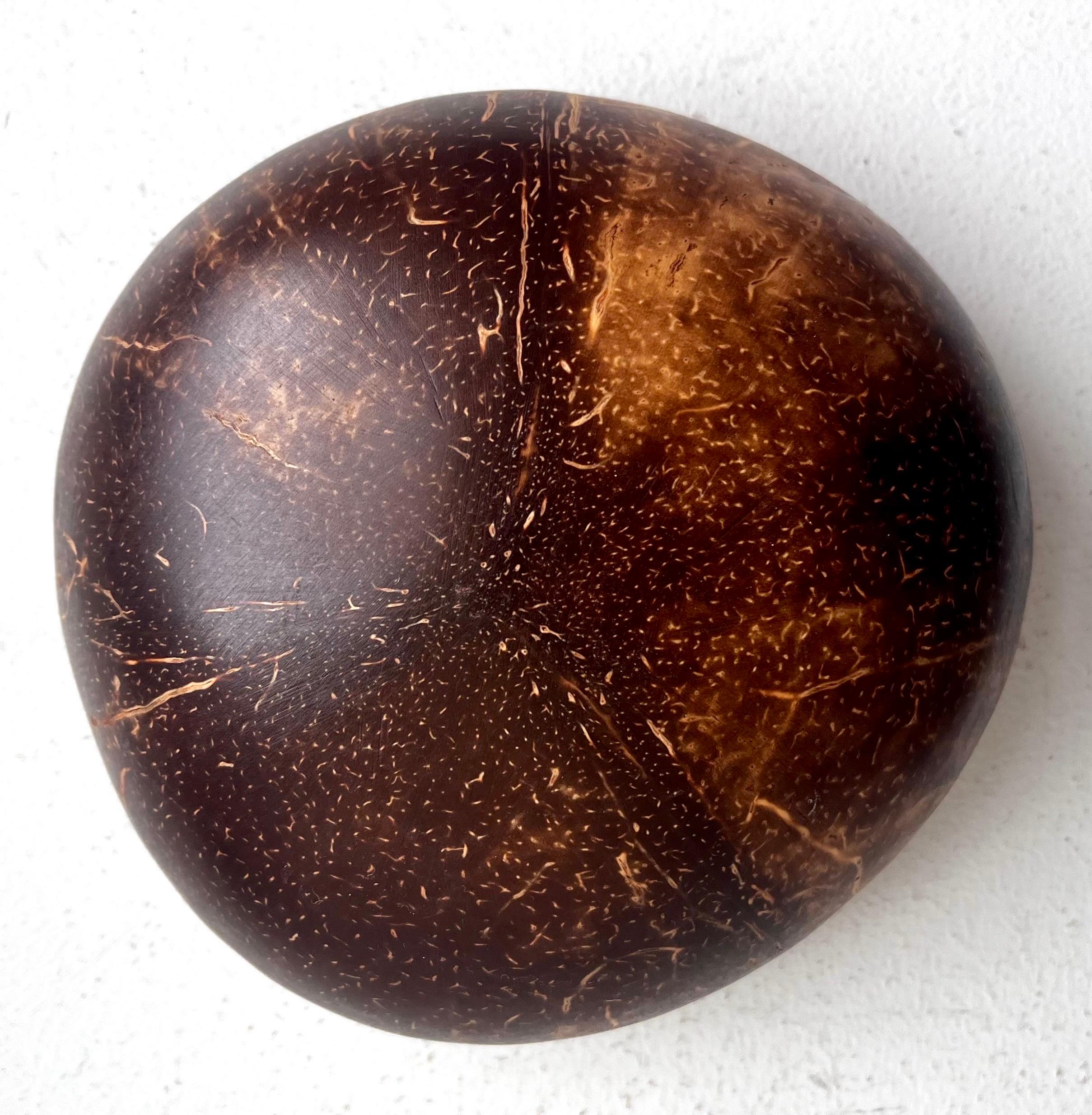 Ciotola decorativa con interessante decorazione ricavata da una noce di cocco In condizioni buone in vendita a Philadelphia, PA