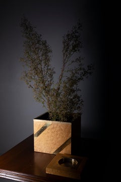 Dekorative Schachtel oder Pflanzgefäß mit Vintage-Tablett aus italienischer Esche in vergoldetem Metallband