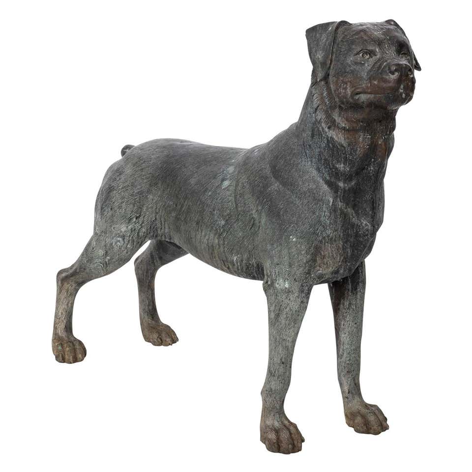 Vintage Rottweiler Decorative Bronze Rottweiler Dog Statue at 1stDibs