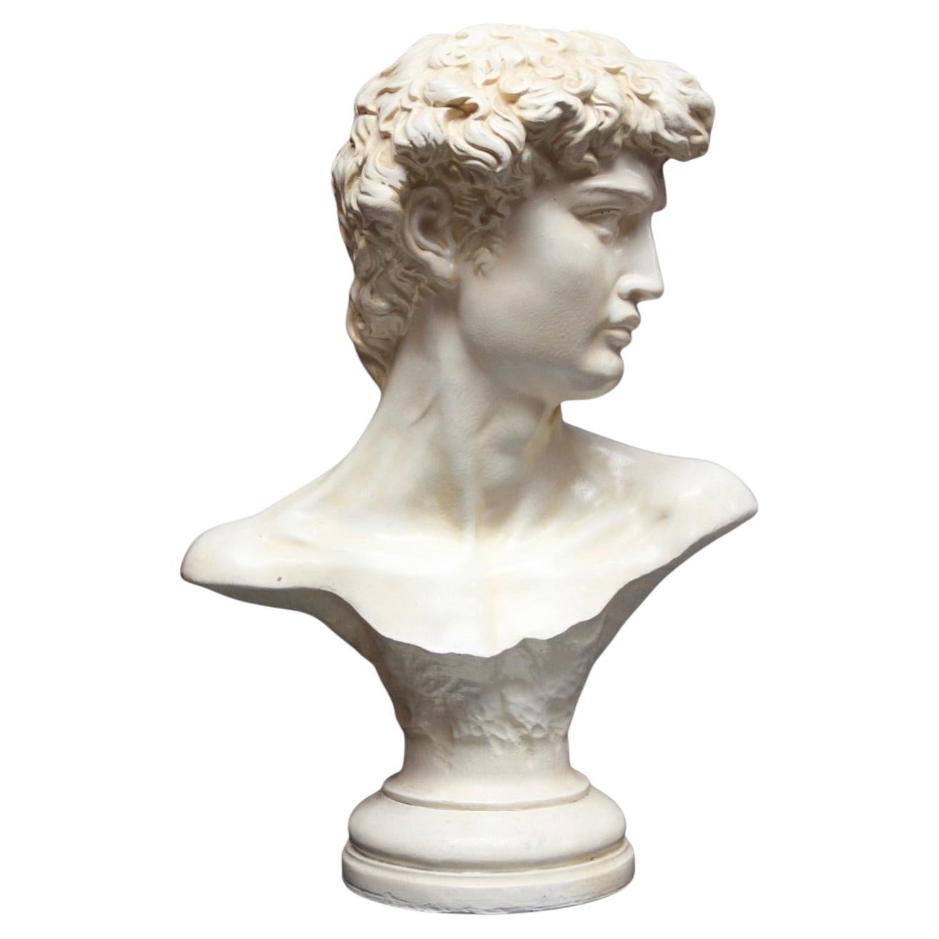 Decorative Bust of David, after Michelangelo. Probably French or Italian, c.1960