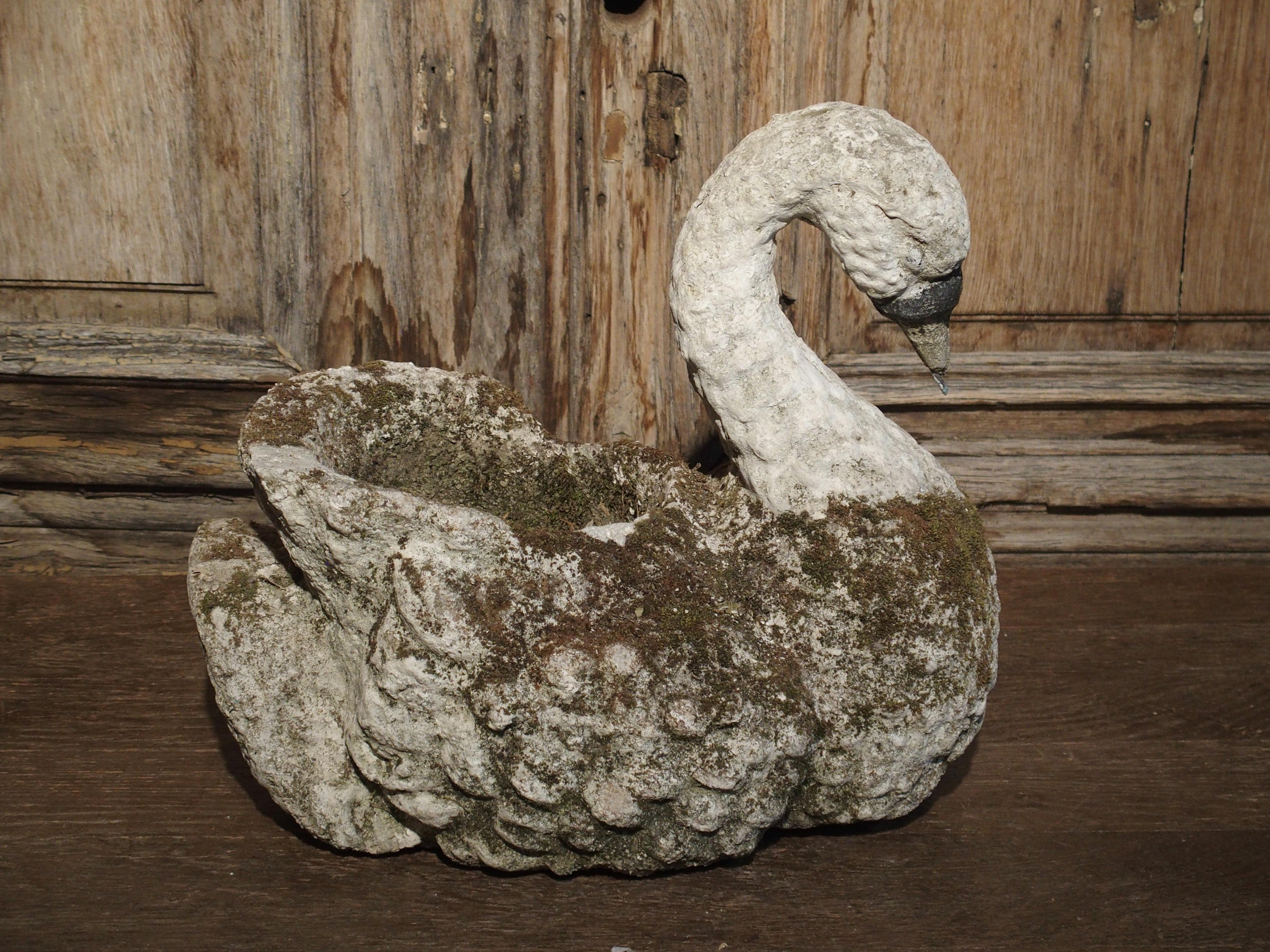 Swans are known to be elegant and graceful birds and this French swan planter no exception. It is midcentury and still retains some of its original paint finish. It is a cast reconstituted stone that will be perfect for a garden or sunroom.
