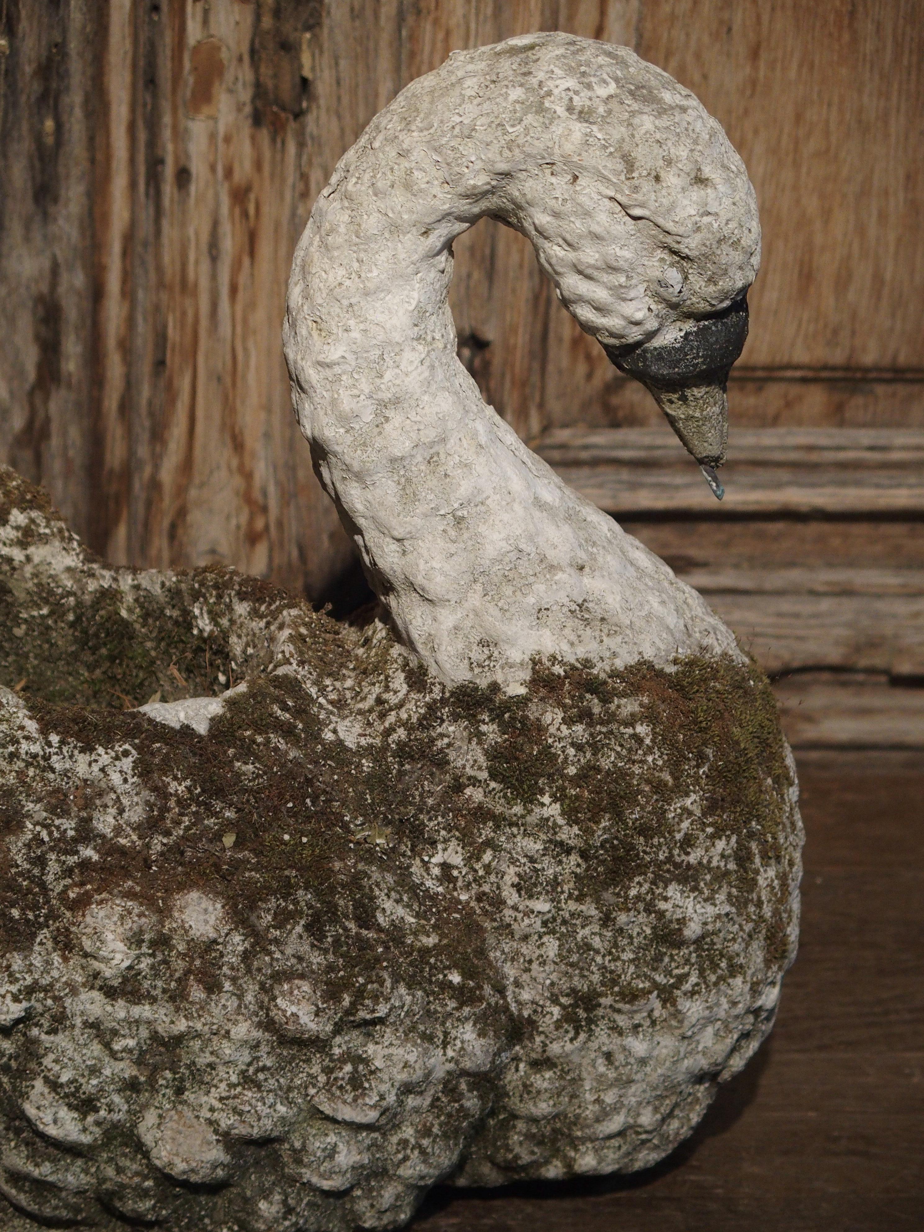 French Decorative Cast Stone Swan Planter from France, circa 1950s