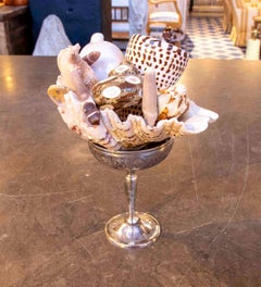 Decorative Centerpiece with Natural Shells in a Silver Cup