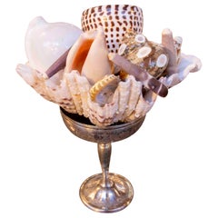 Decorative Centerpiece with Natural Shells in a Silver Cup