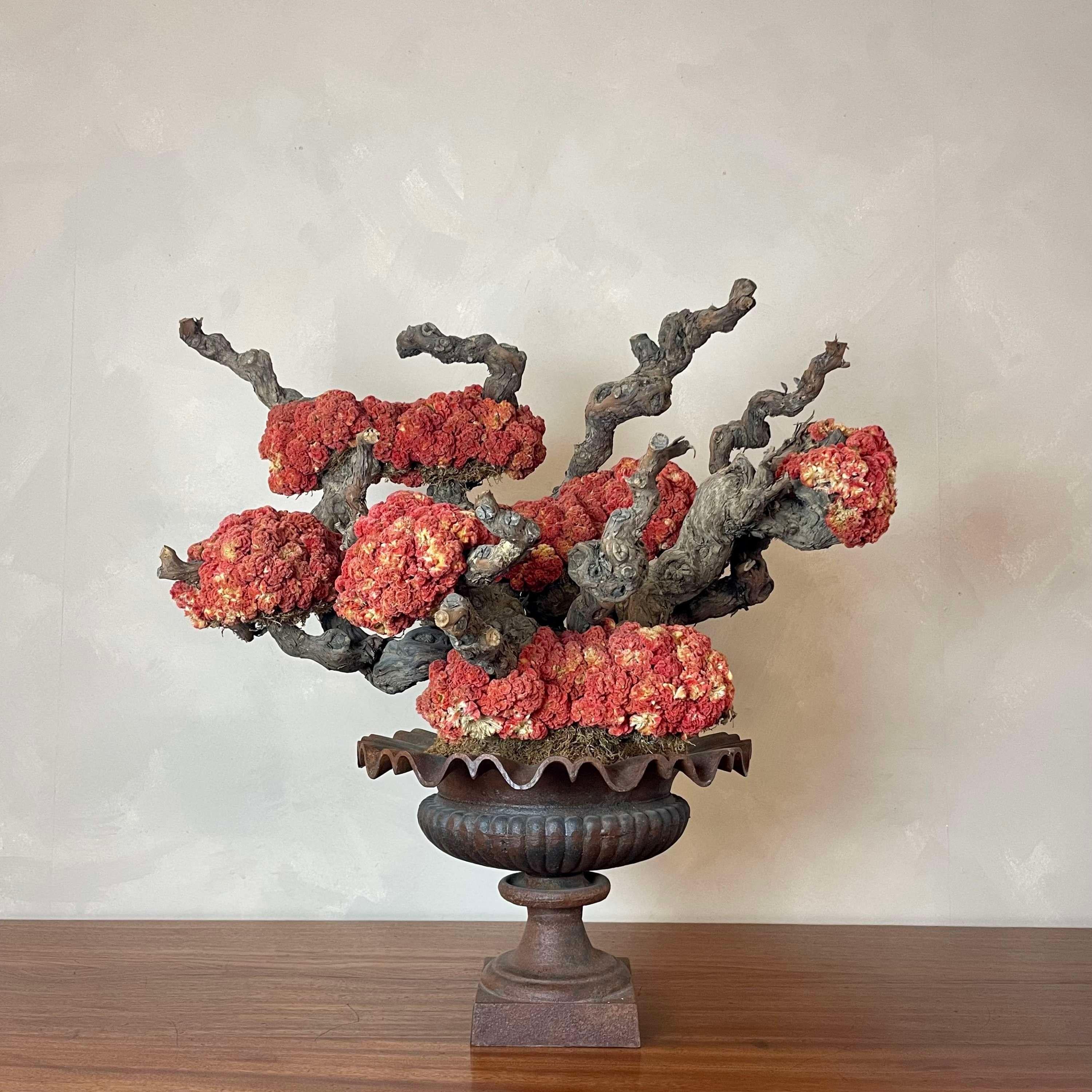 Großes dekoratives Mittelstück.
Urne aus Gusseisen, gefüllt mit dekorativen, zusammengebundenen Zweigen, geschmückt mit auffallend rosa Celosia Cristata (Crested Cockscomb), die an eine Koralle erinnert. 
Dieses Stück hat ein echtes Bonsai-Gefühl