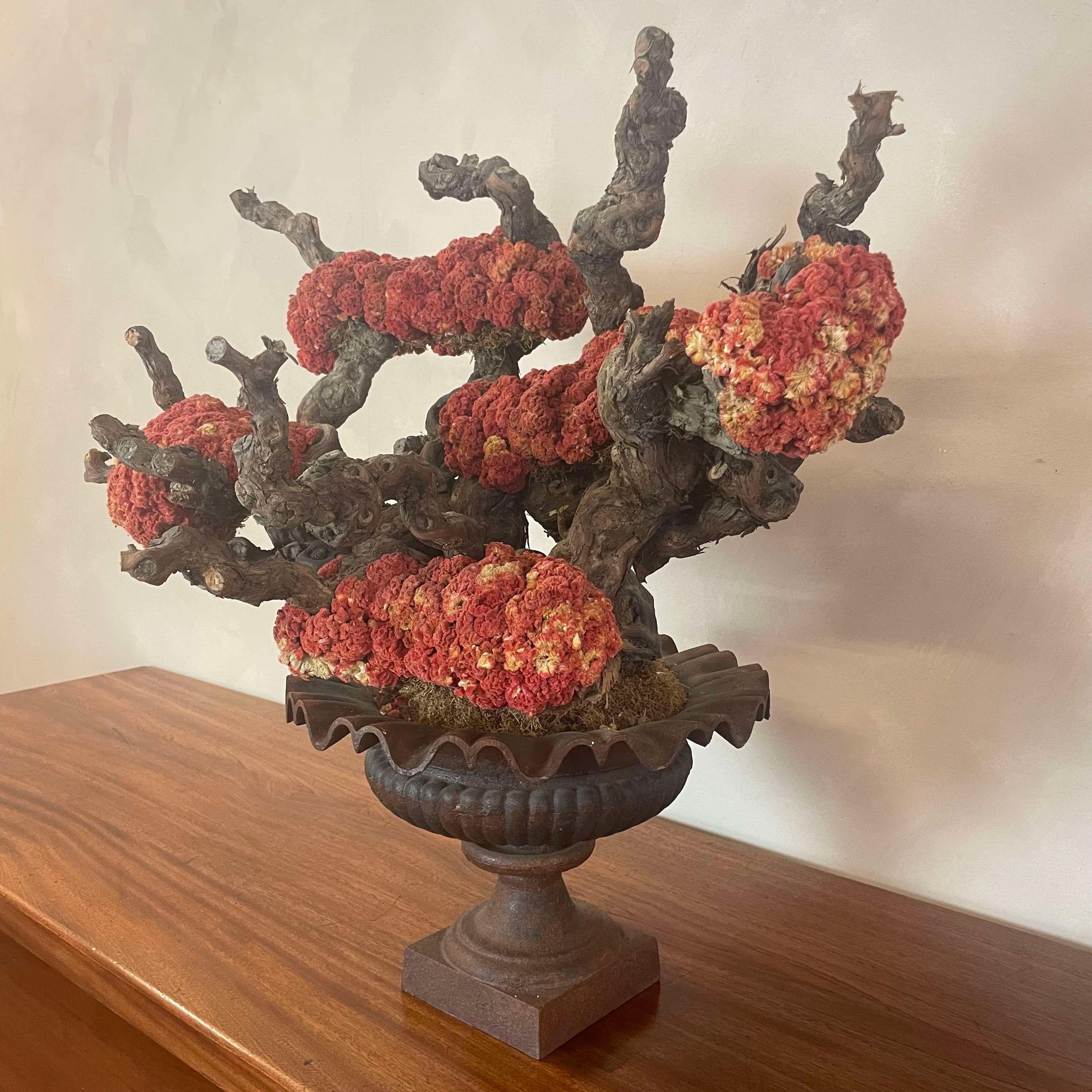 20th Century Decorative Centre Piece -Celosia Cristata Bonsai For Sale