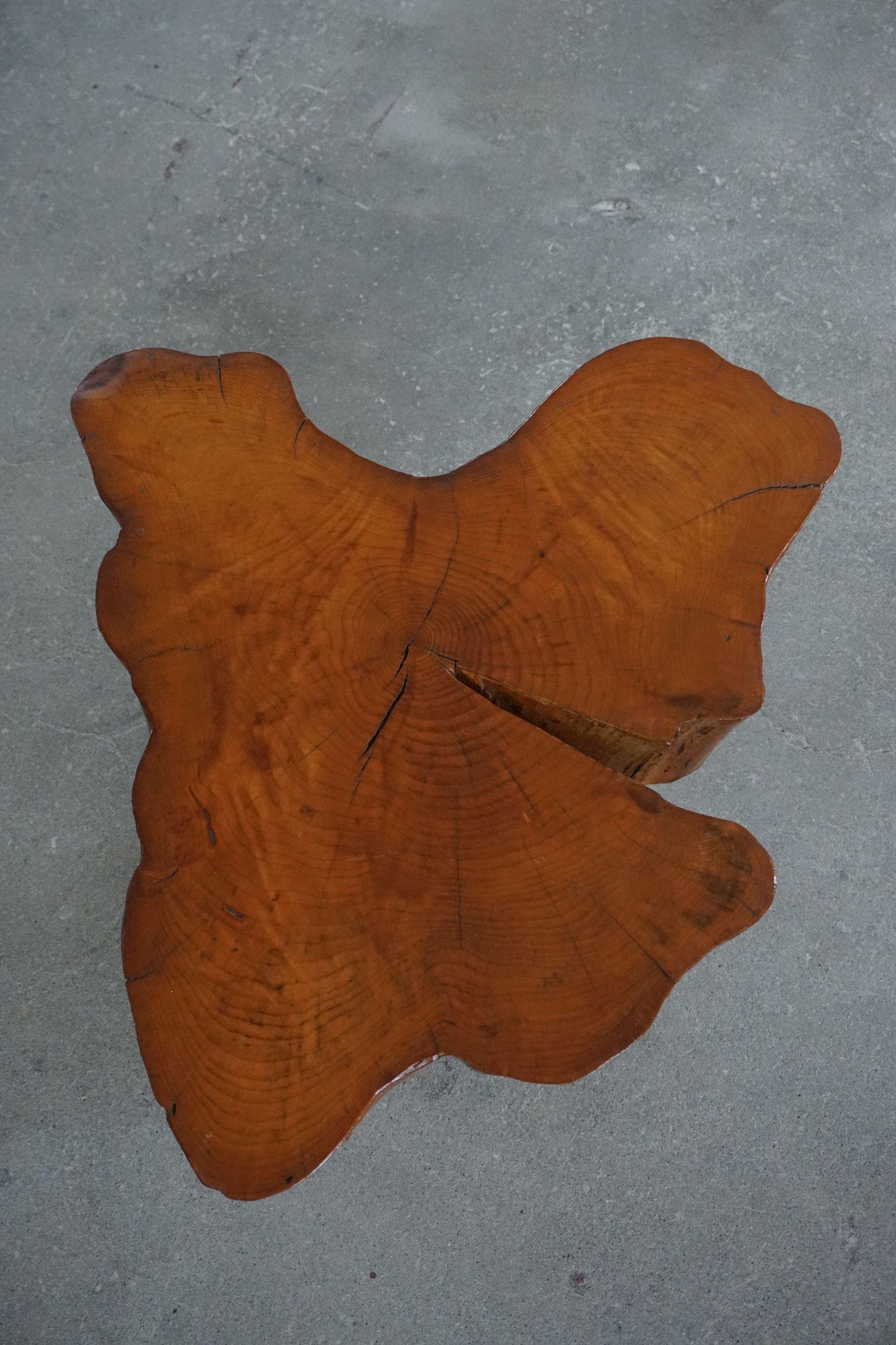 Decorative Coffee Table in Burl Wood, in the Style of George Nakashima, 1960s 3