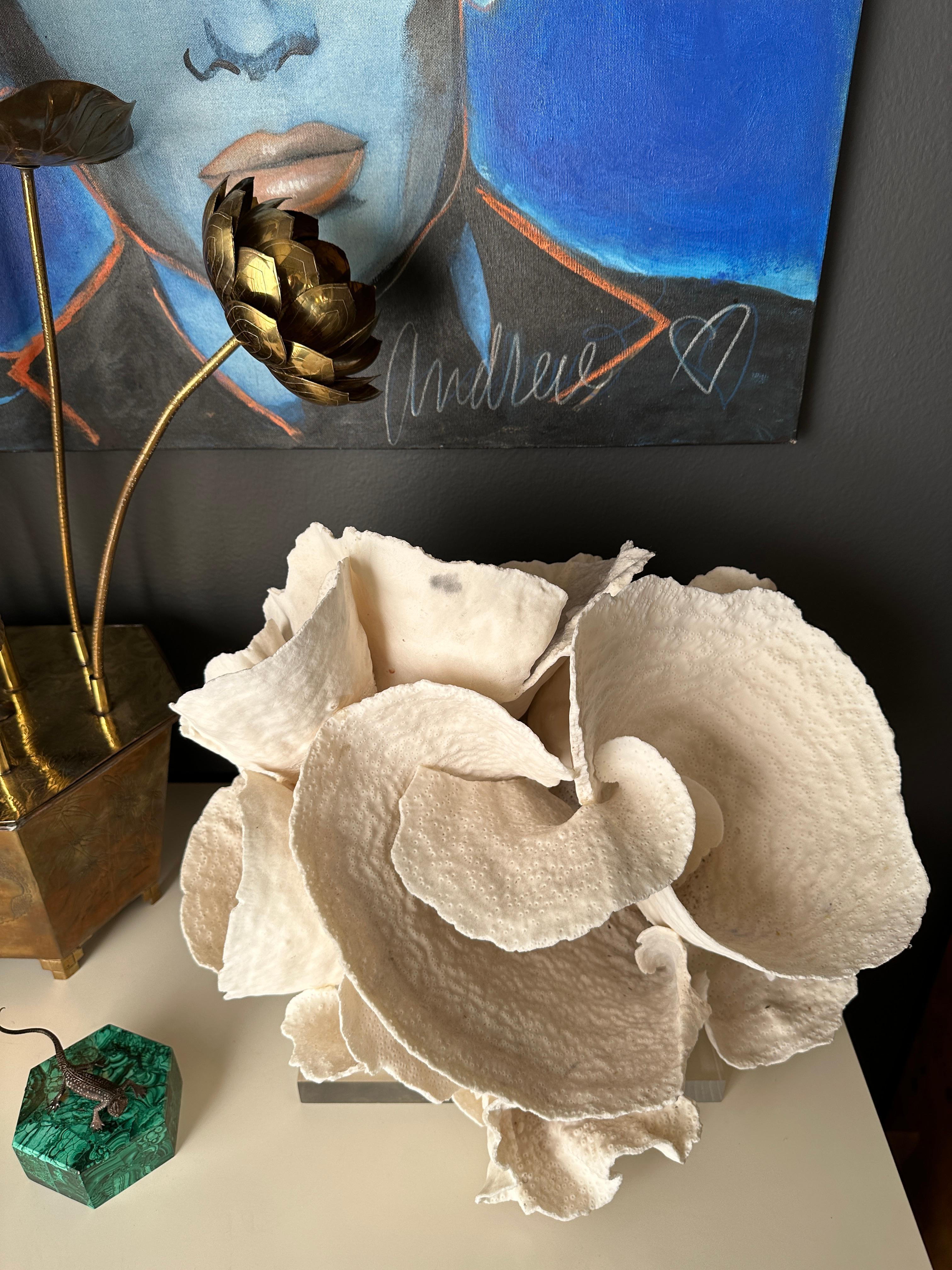 Espécimen decorativo de coral sobre base de lucita en venta 6