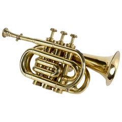 Decorative Cornet Brass